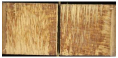 Forests 13 02135 i038