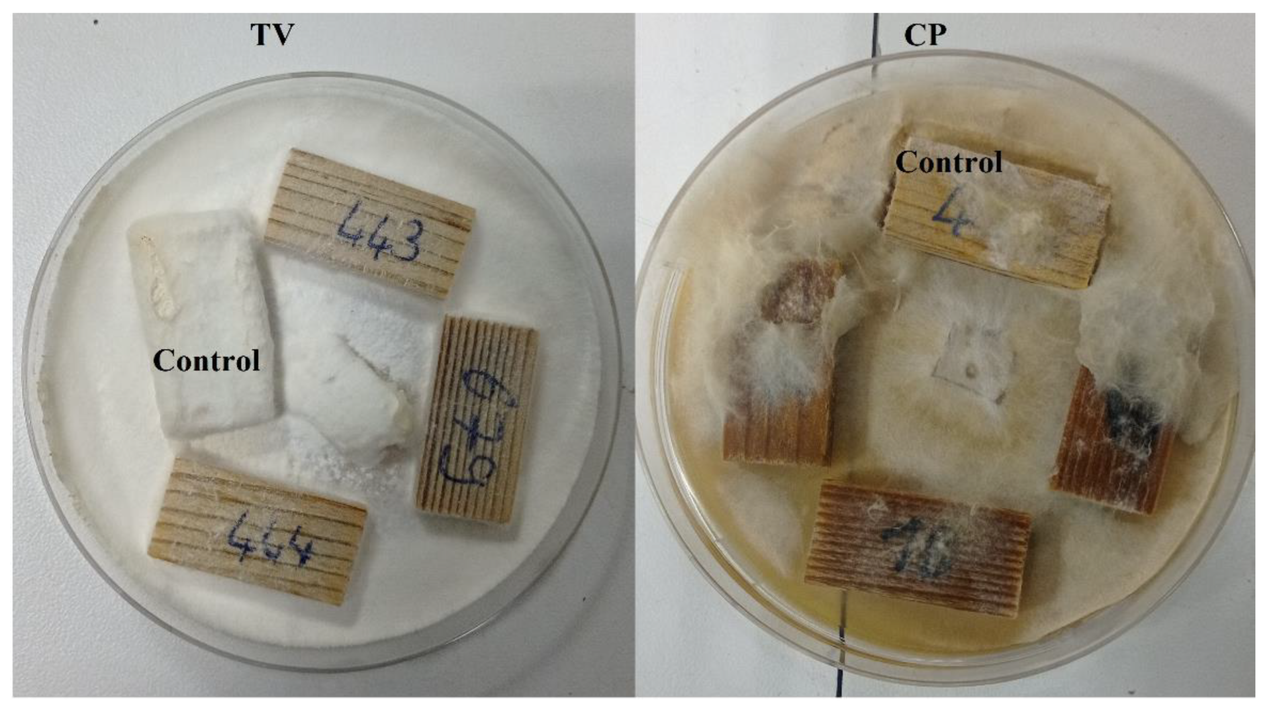 Forests 13 02137 g007 Forests 13 02137 g007