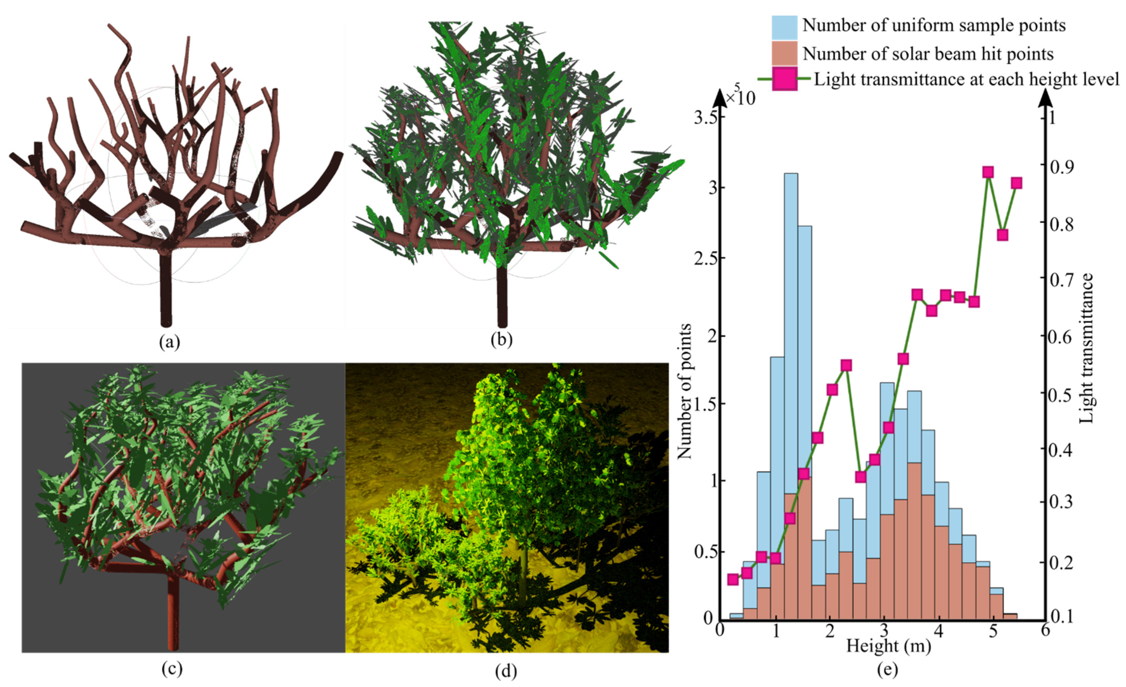 Forests 13 02139 g007 Forests 13 02139 g007