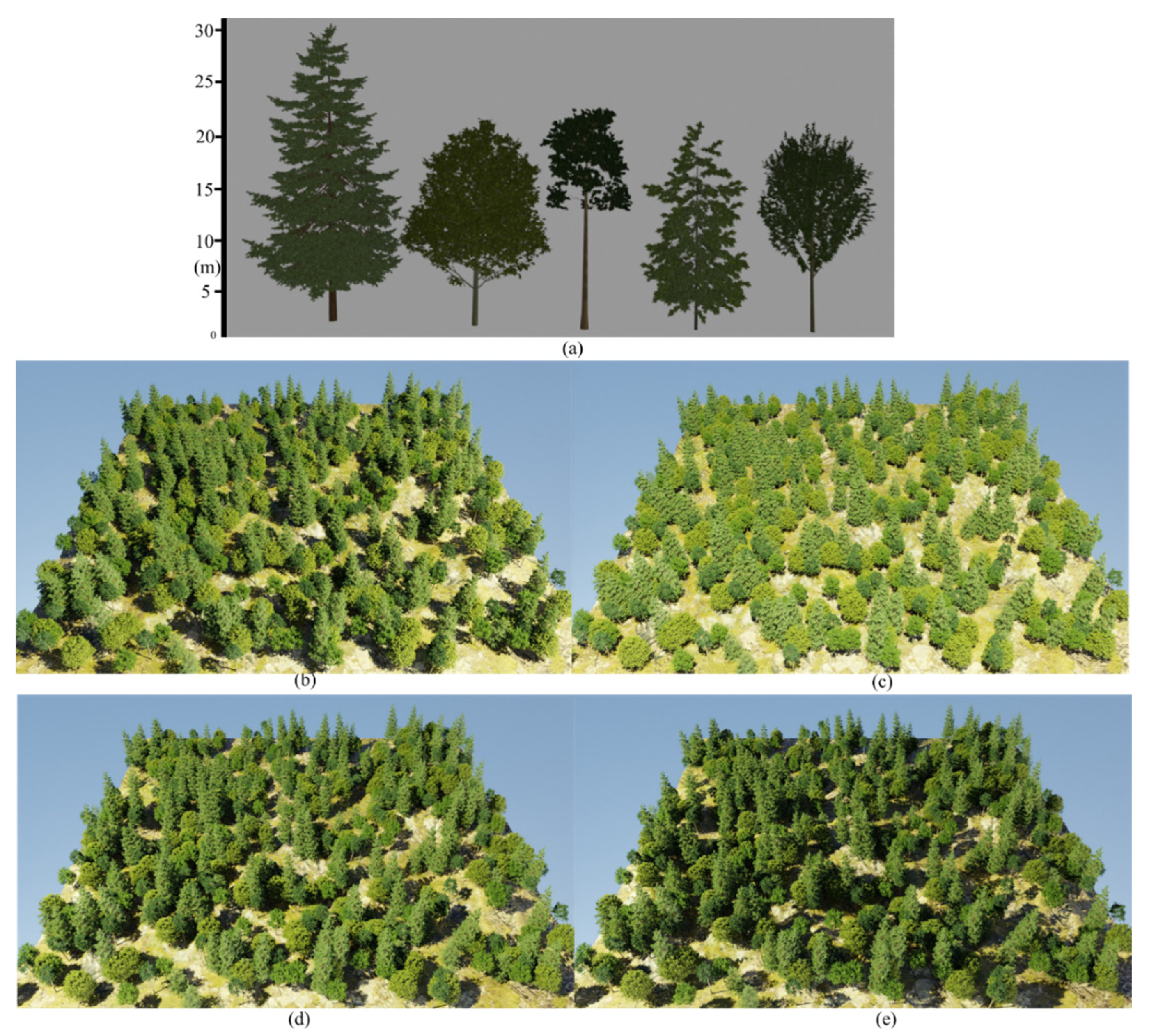 Forests 13 02139 g008 Forests 13 02139 g008