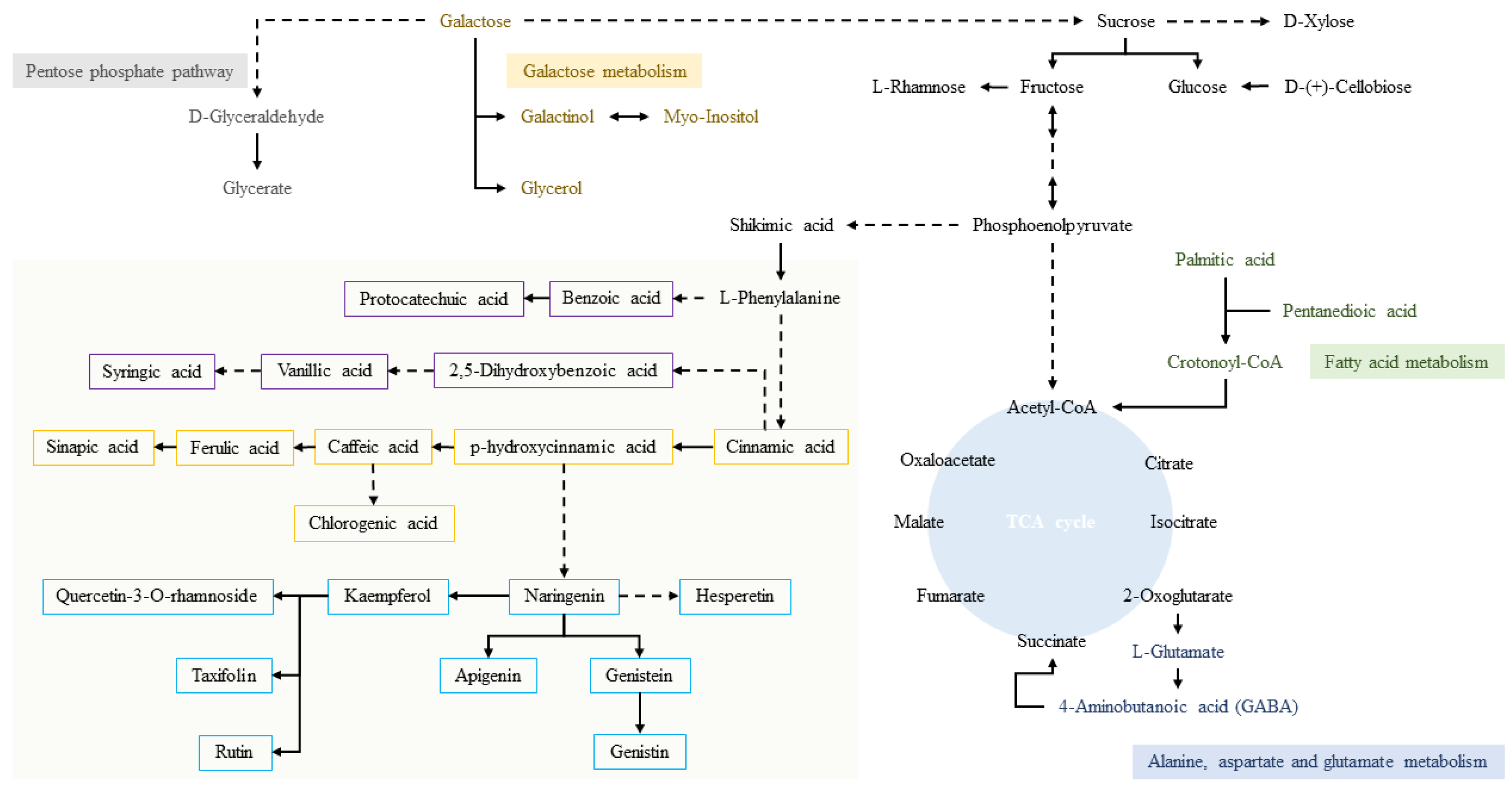 Forests 13 02141 g009 Forests 13 02141 g009