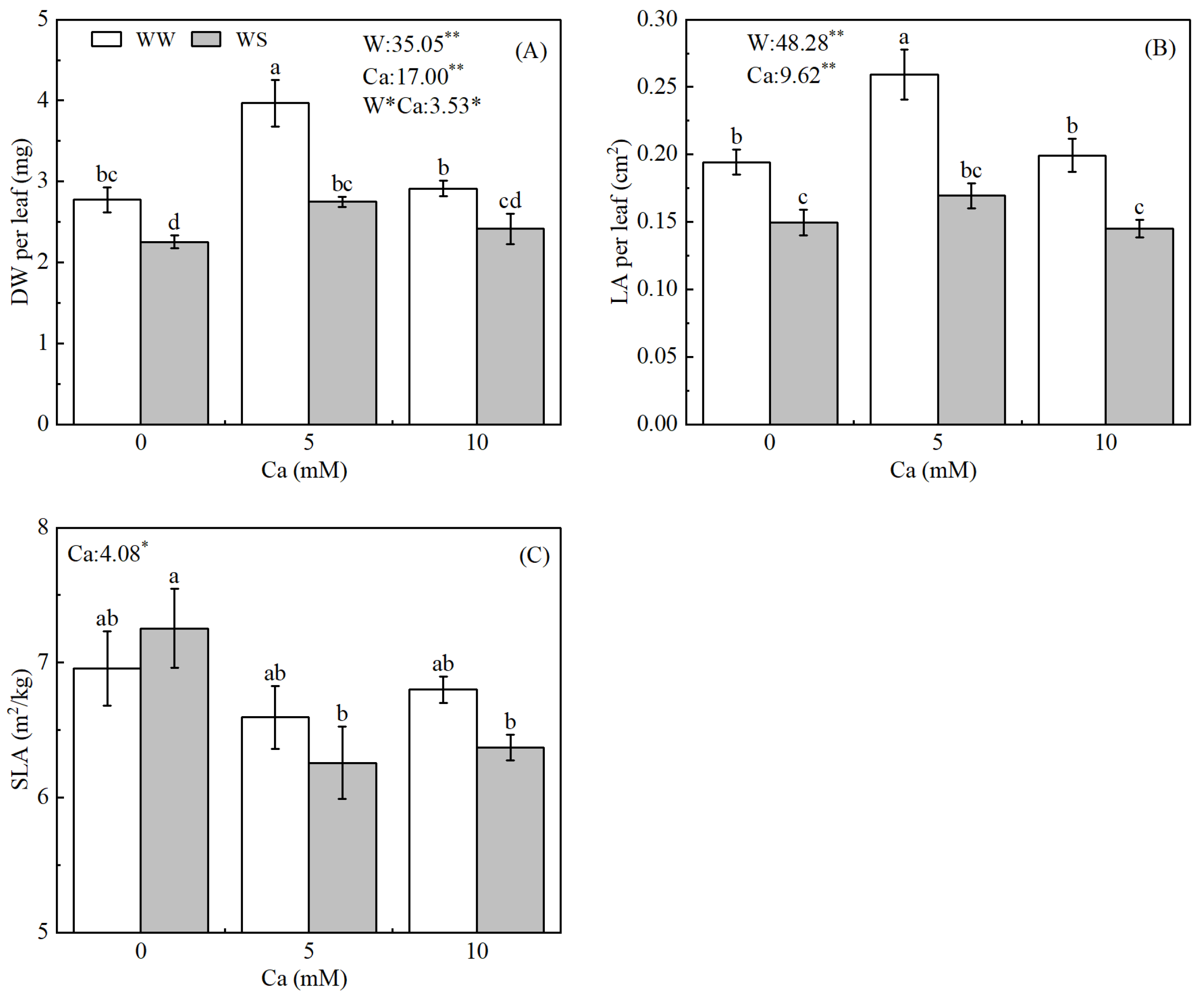 Forests 13 02155 g001 Forests 13 02155 g001