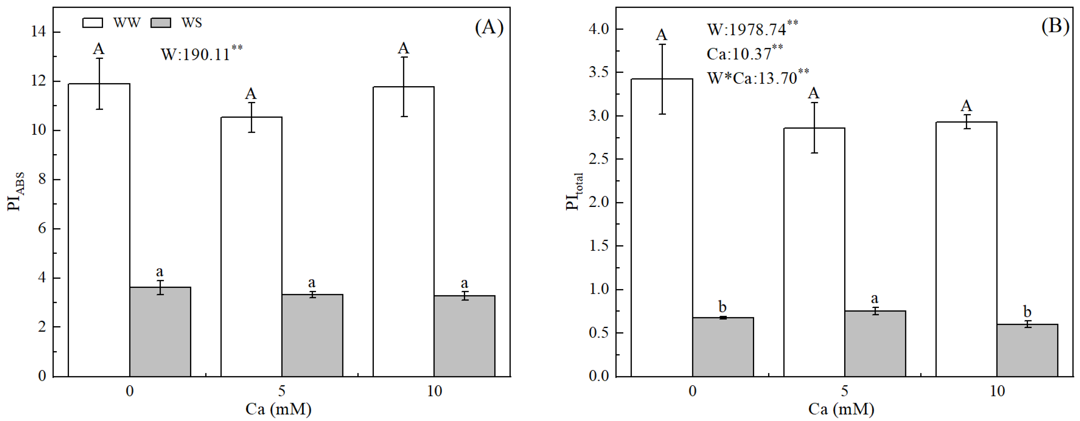 Forests 13 02155 g008 Forests 13 02155 g008