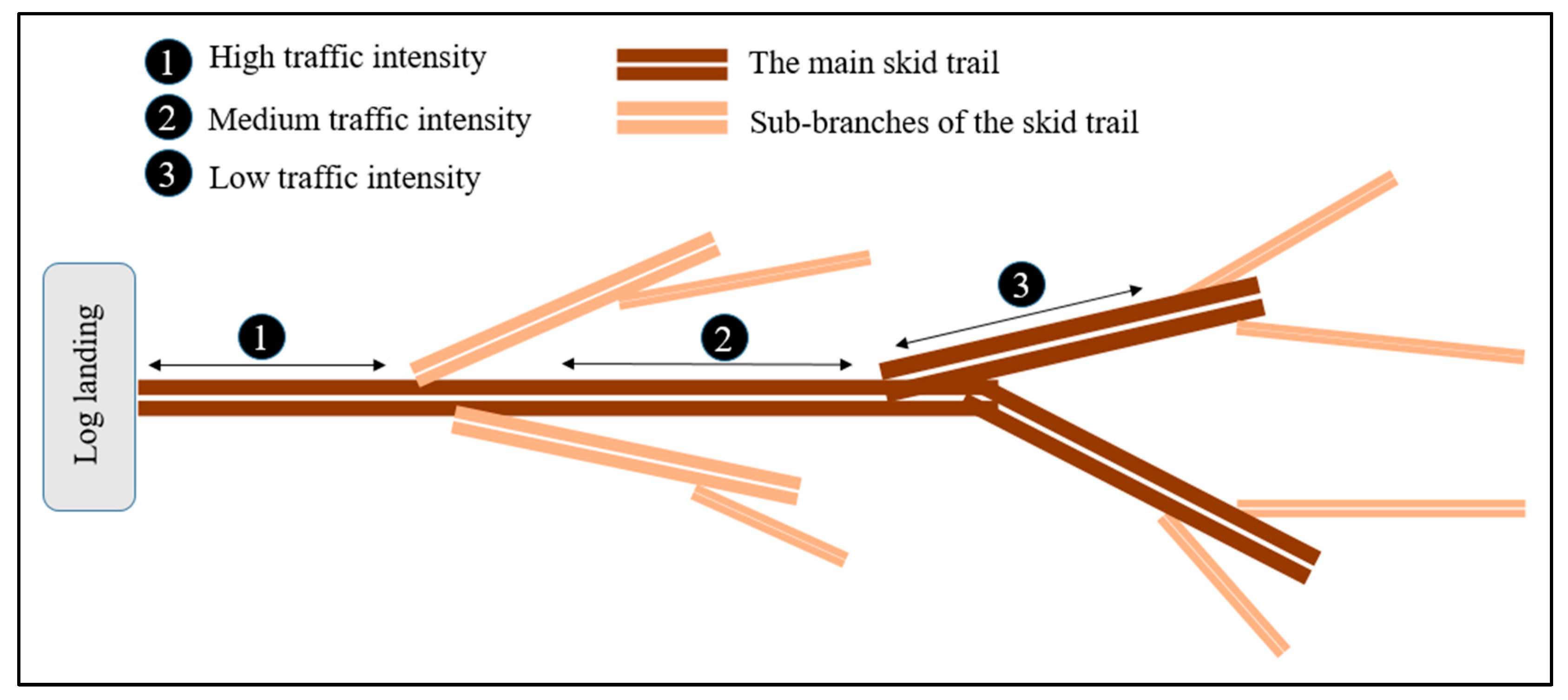 Forests 13 02156 g002 Forests 13 02156 g002