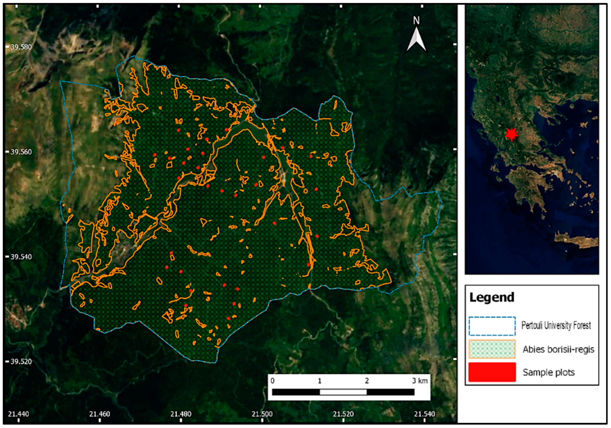 Forests 13 02157 g001 Forests 13 02157 g001