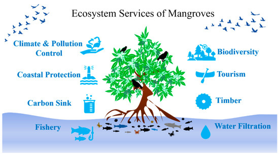 A Systematic Review of the Physicochemical and Microbial Diversity of ...