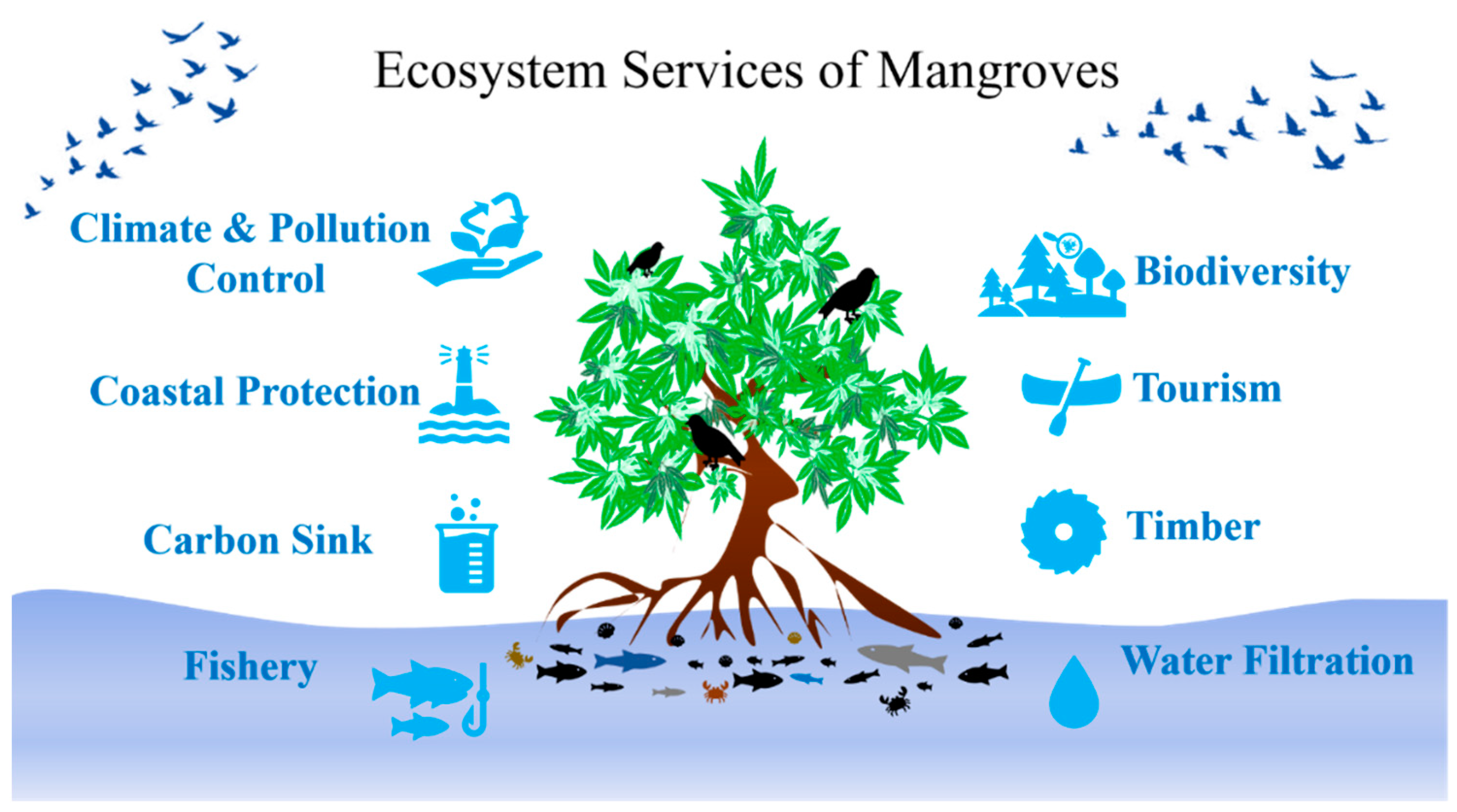 Biodiversity Introduction Graphic Organizer. Diversity of Species Level of  variety varies in different ecosystems Not all species on Earth have been  identified. - ppt download