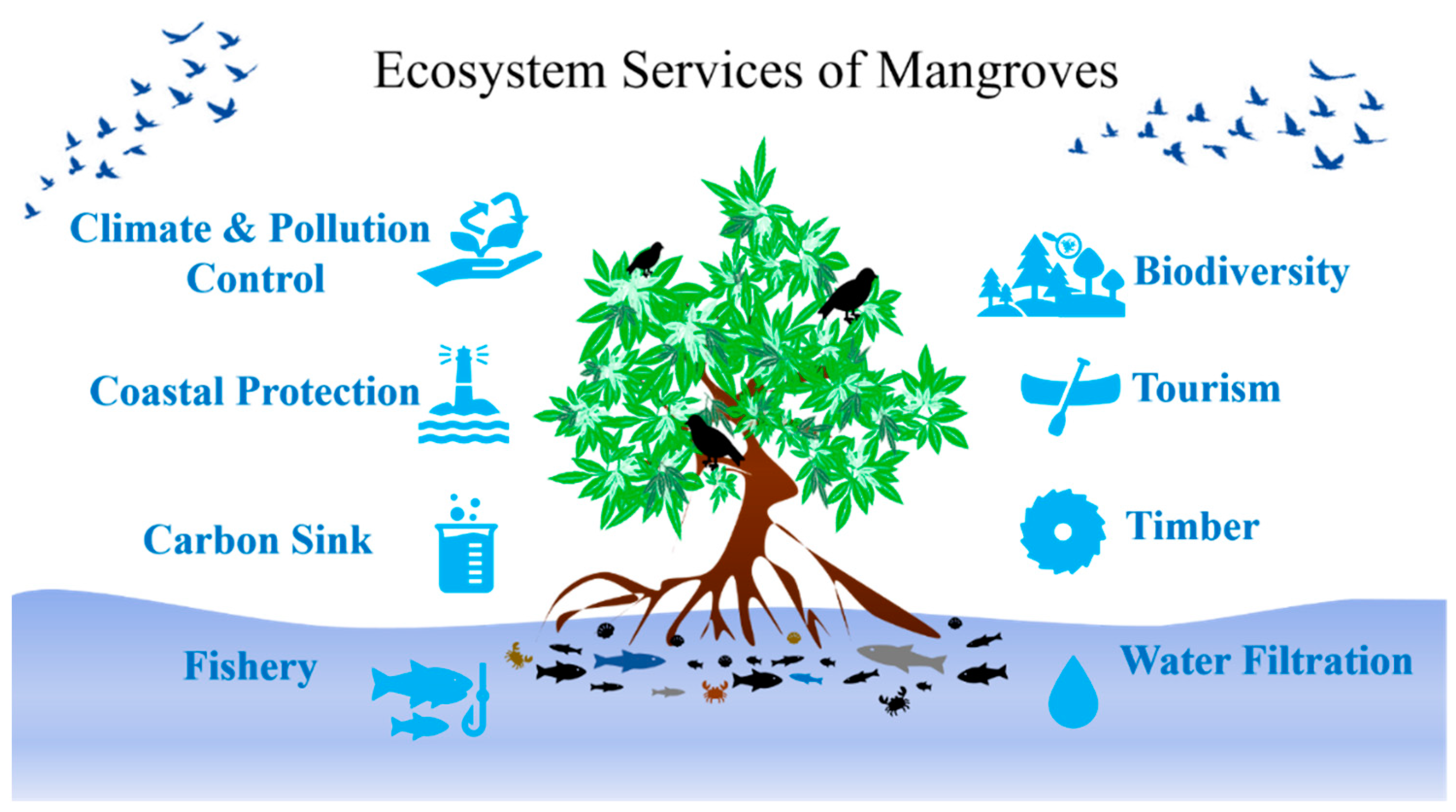 Mangrove Forest Ecosystem mangrove-forest-ecosystem
