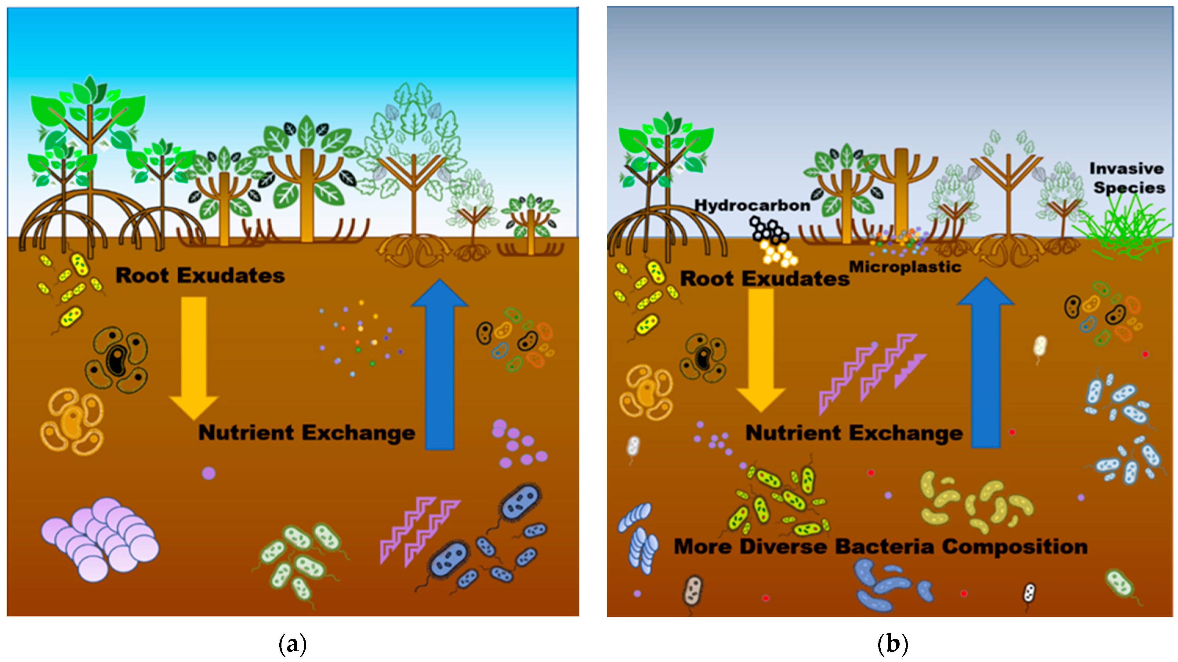 Forests 13 02160 g005