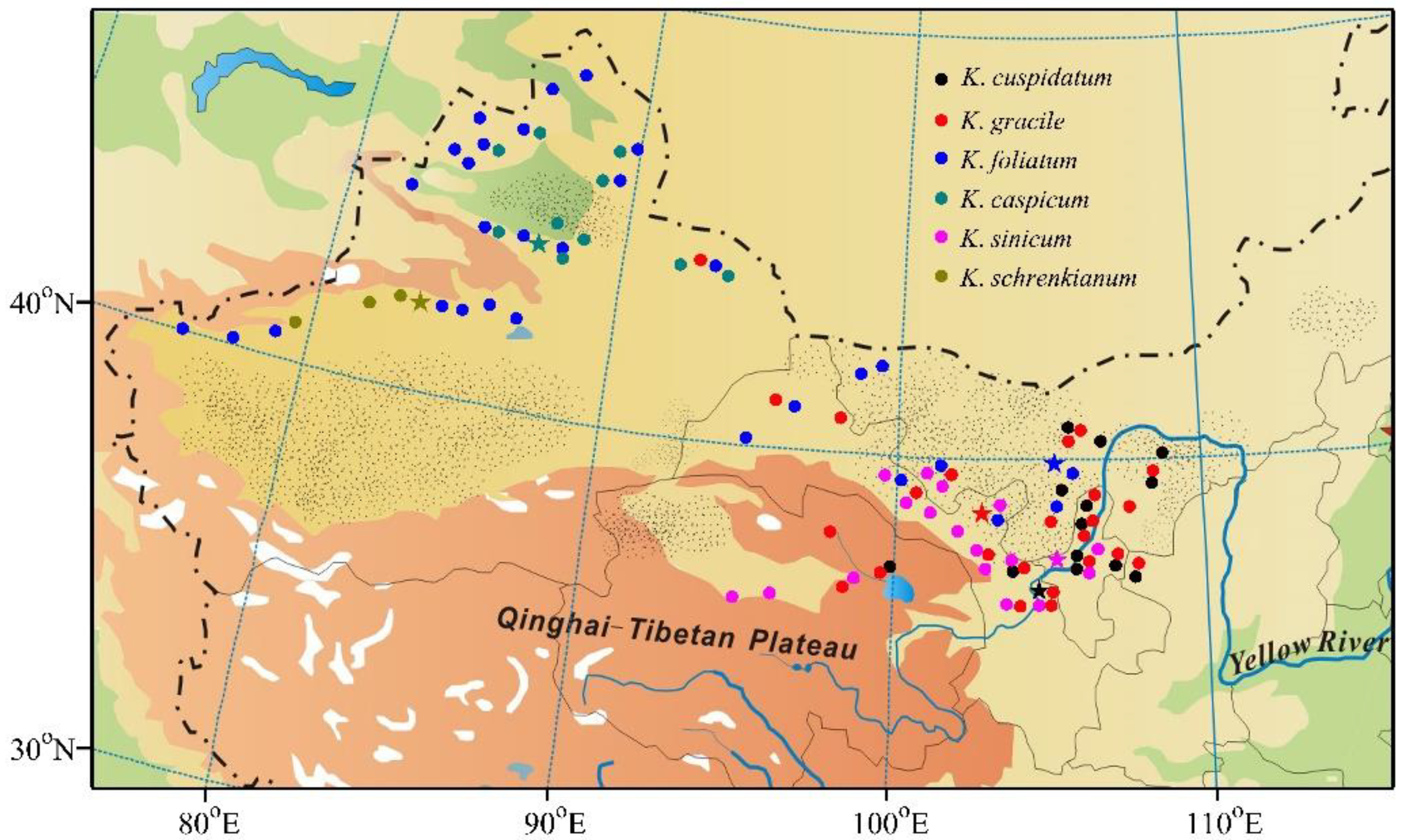 Forests 13 02178 g001 Forests 13 02178 g001