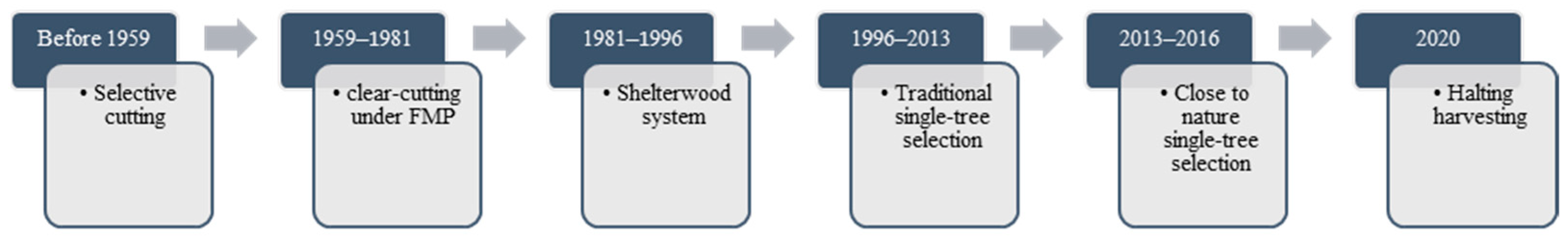 Forests 13 02180 g001