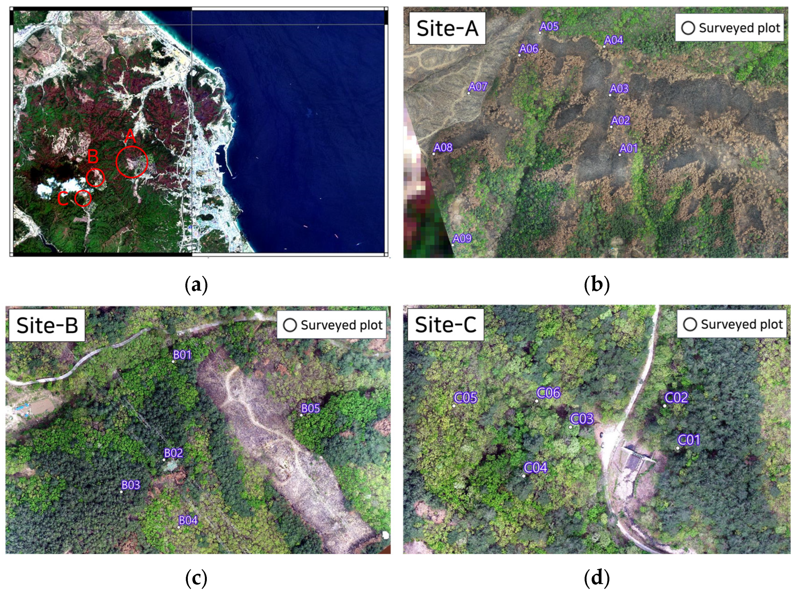 Forests 13 02185 g003 Forests 13 02185 g003