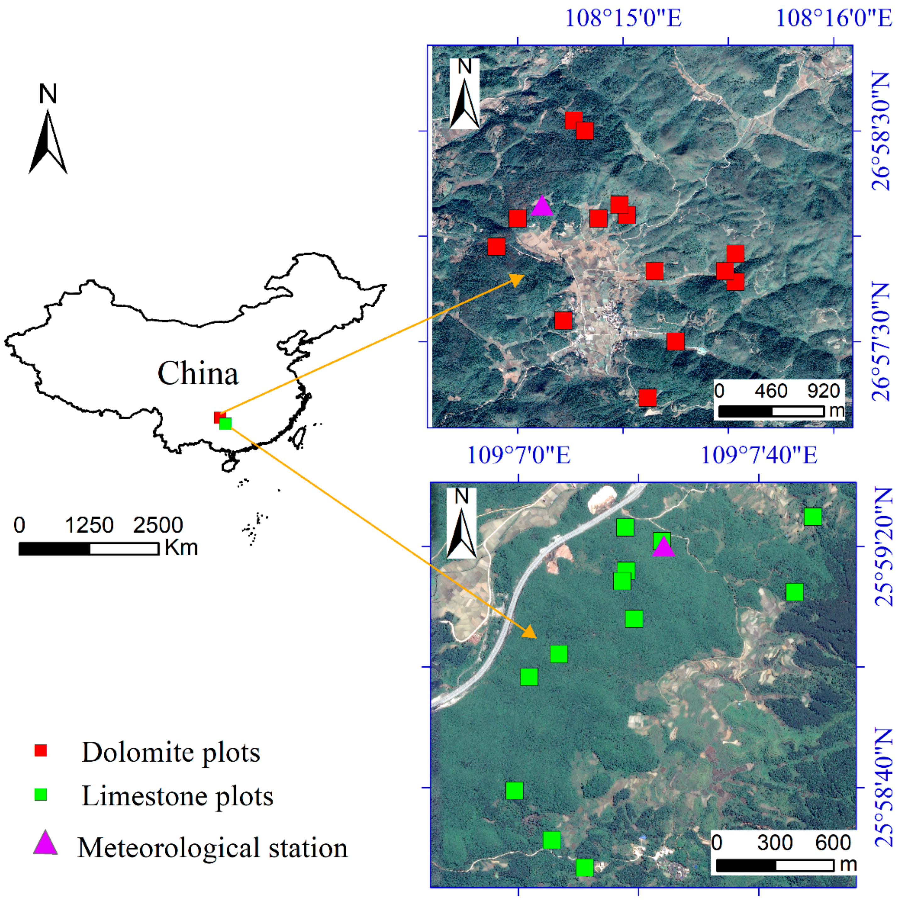 Forests 13 02187 g001 Forests 13 02187 g001