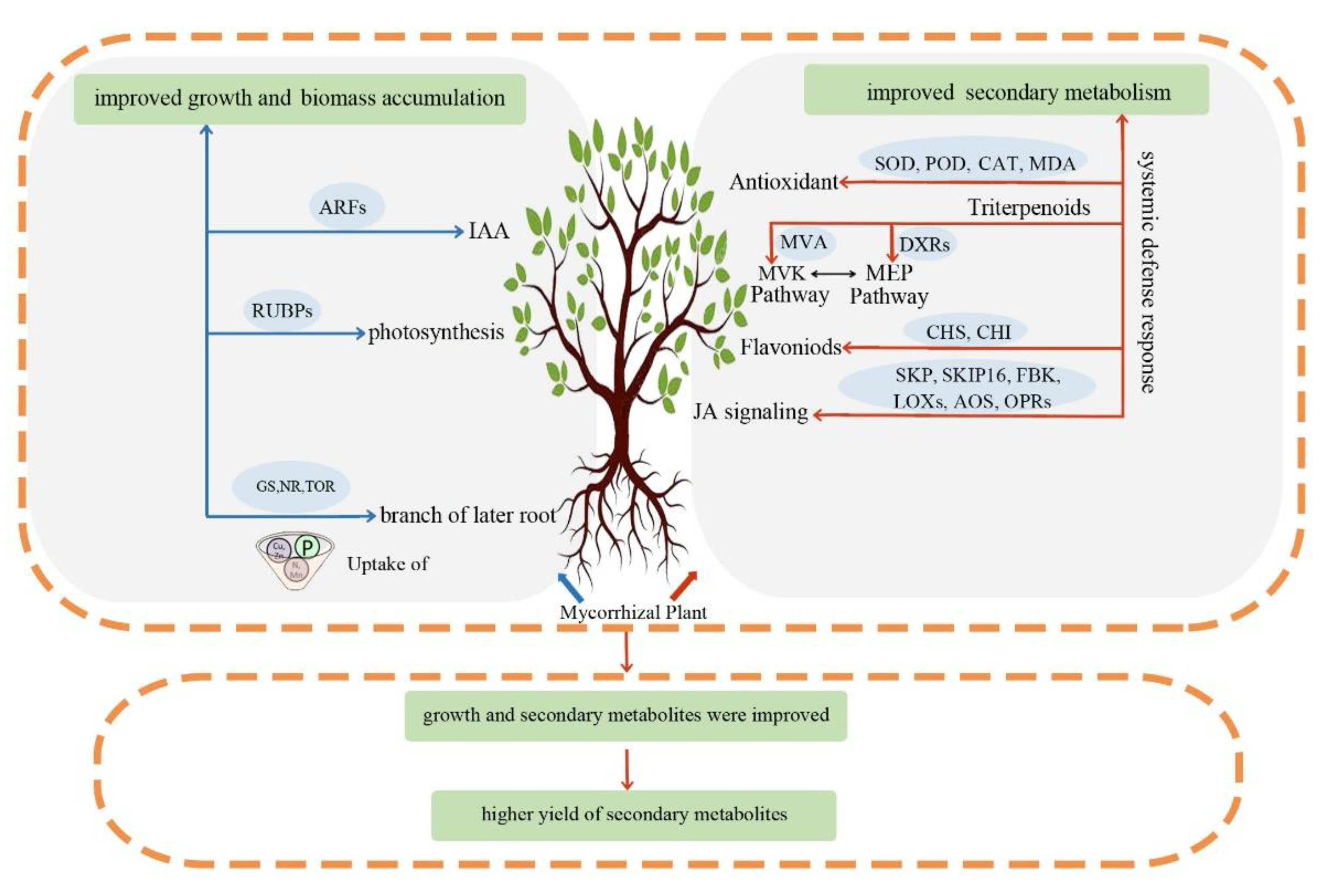 Forests 13 02188 g006 Forests 13 02188 g006