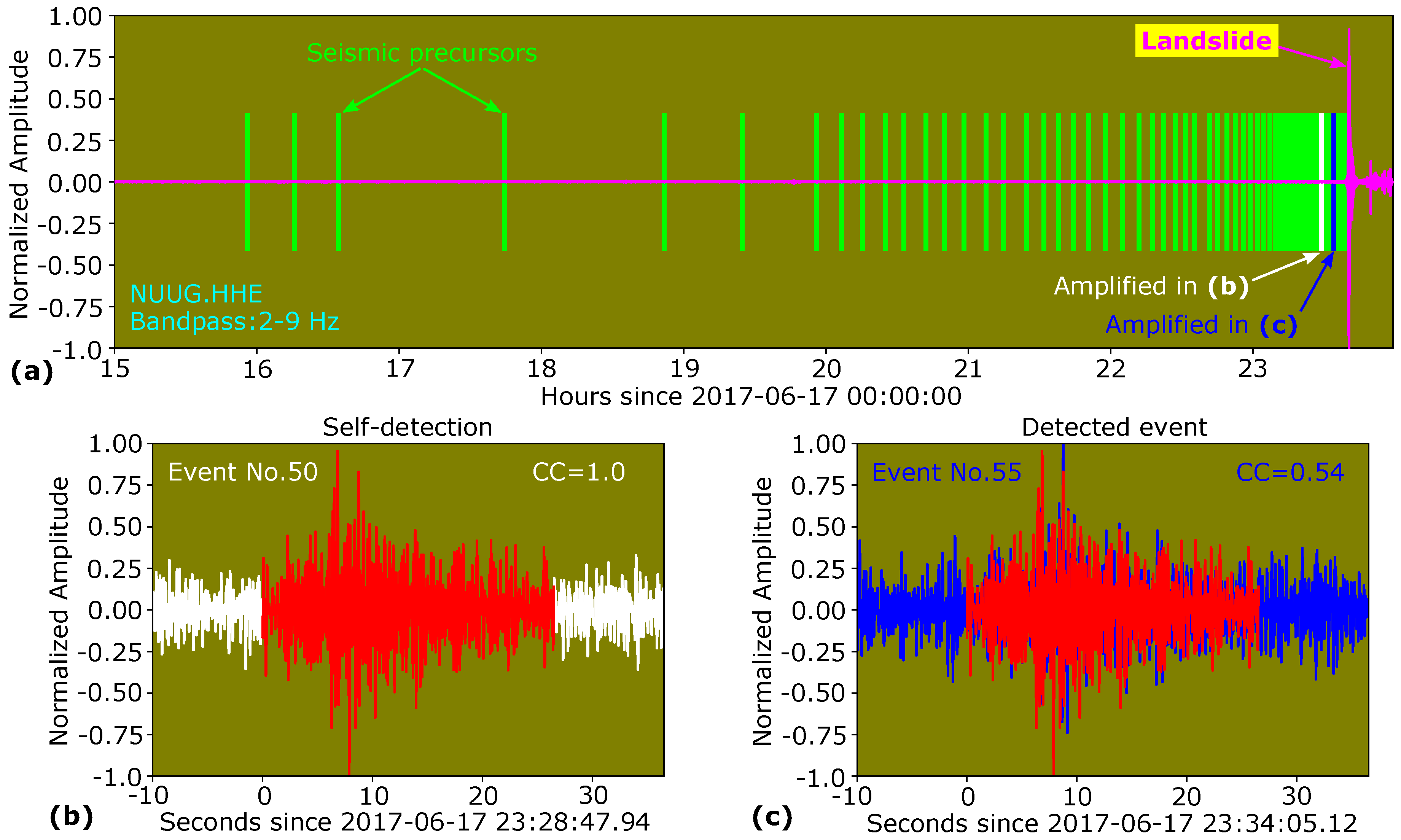 Forests 14 00002 g002