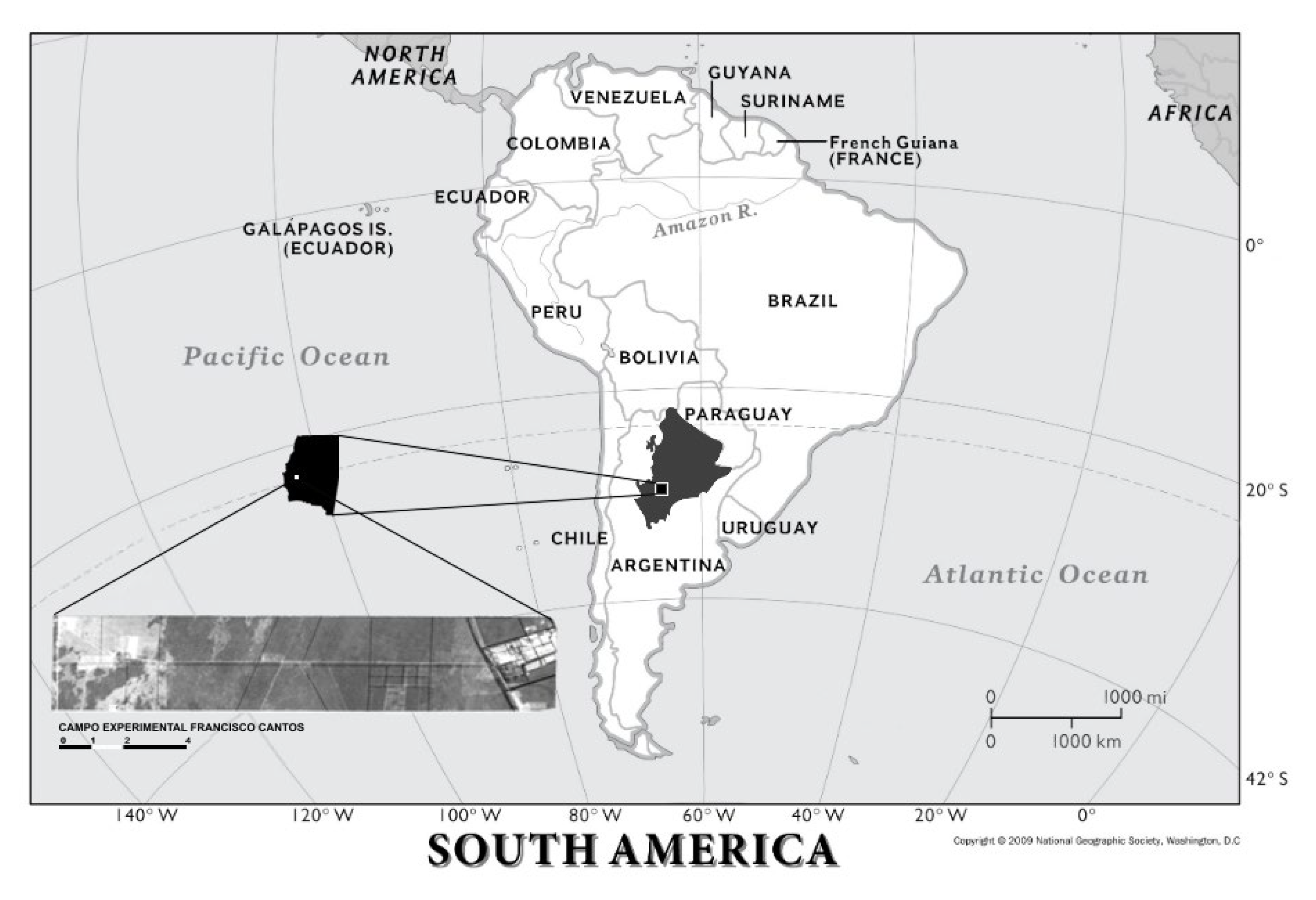 Forests 14 00003 g001 Forests 14 00003 g001