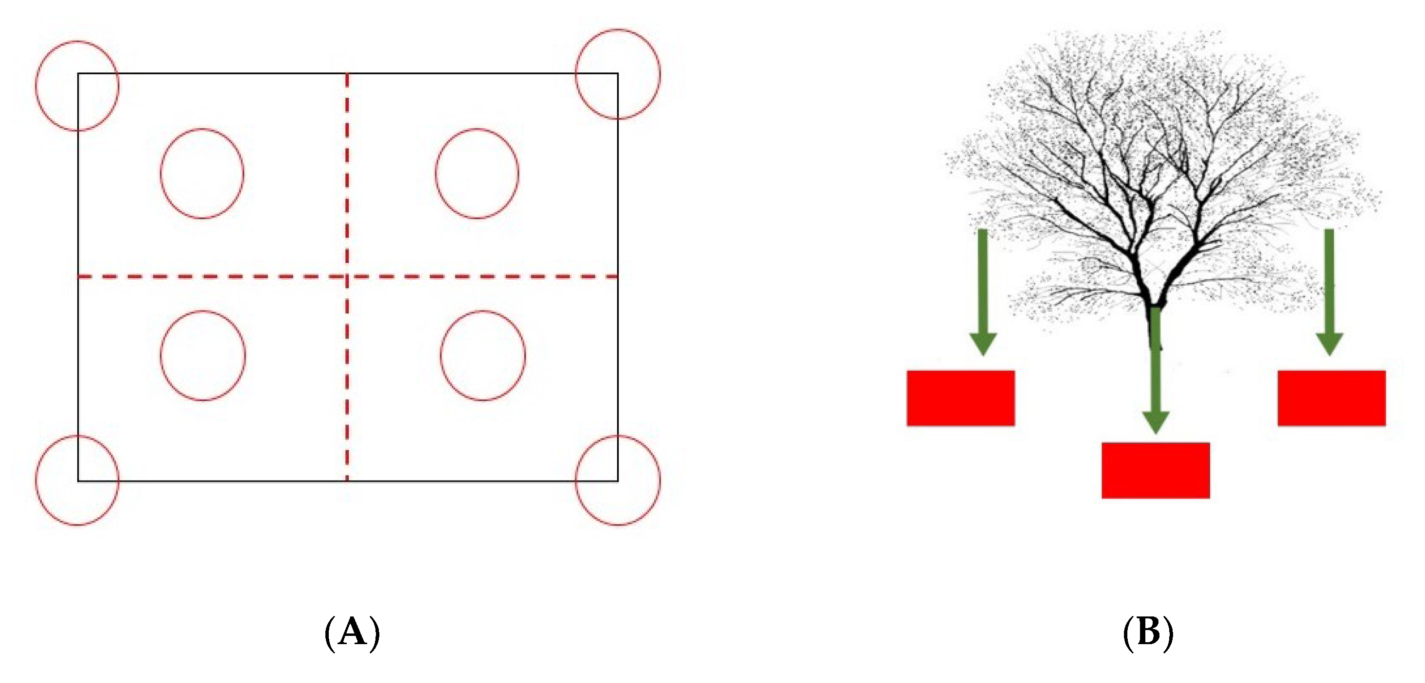 Forests 14 00003 g002 Forests 14 00003 g002