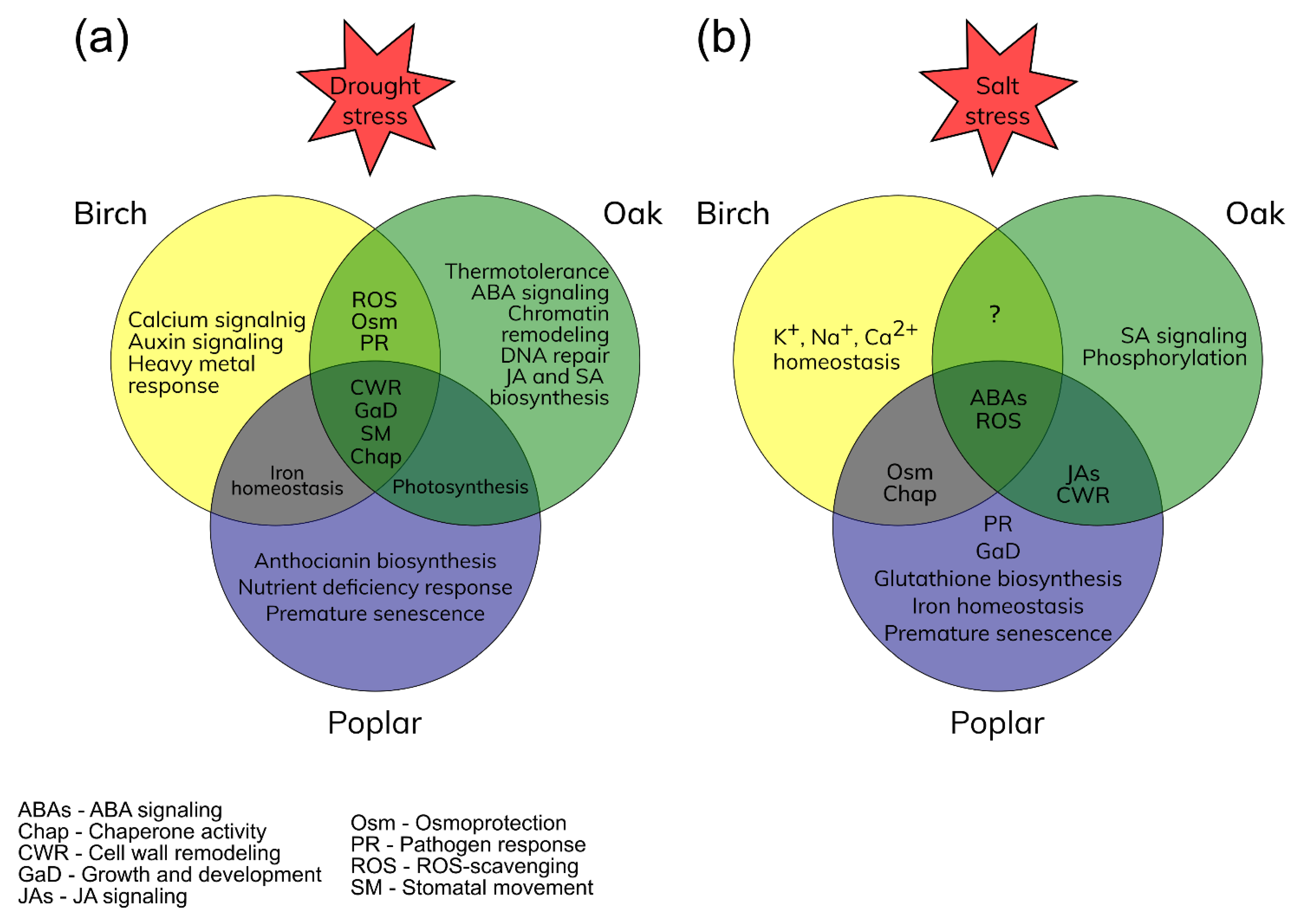 Forests 14 00007 g001