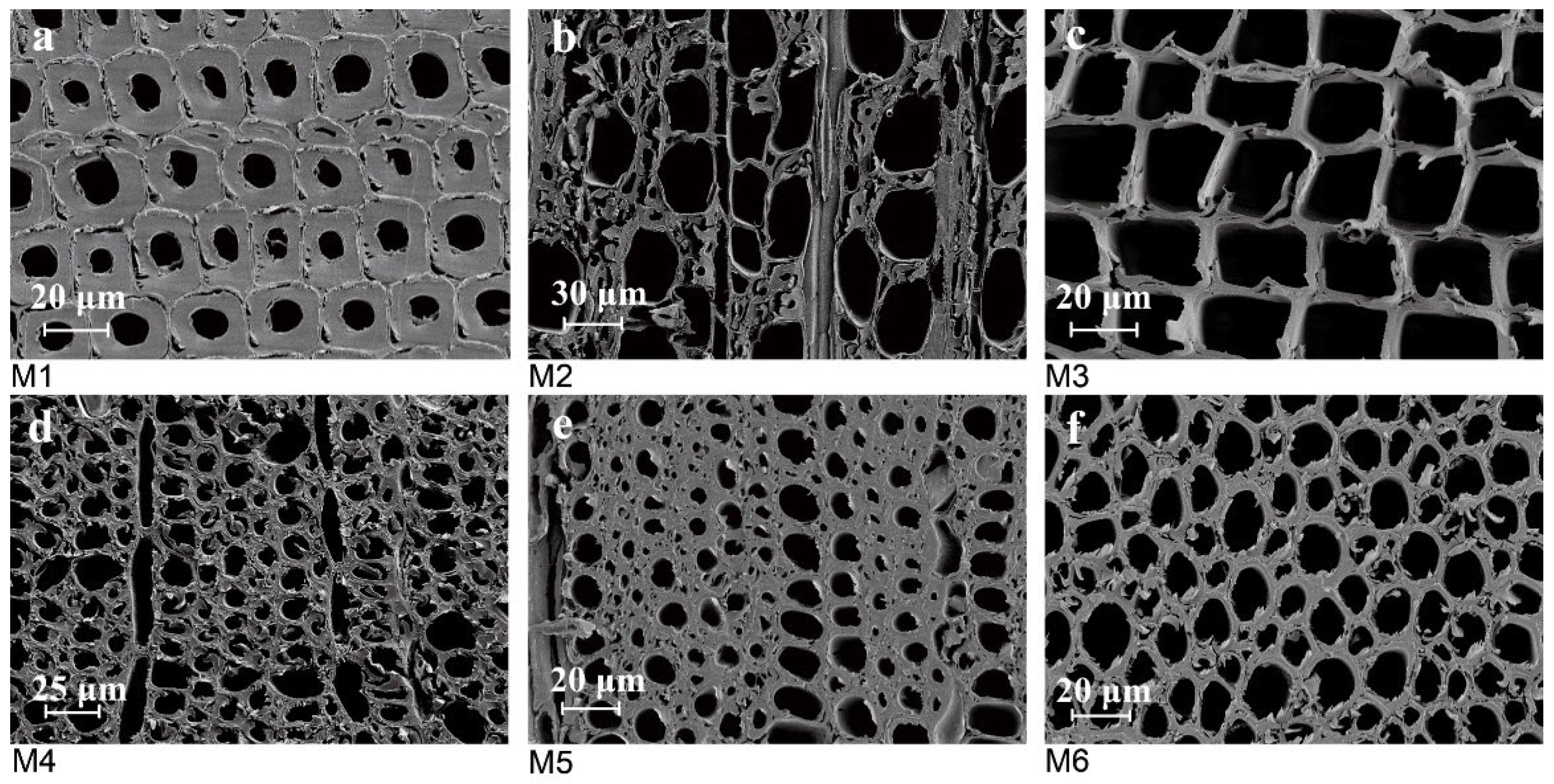 Forests 14 00009 g003