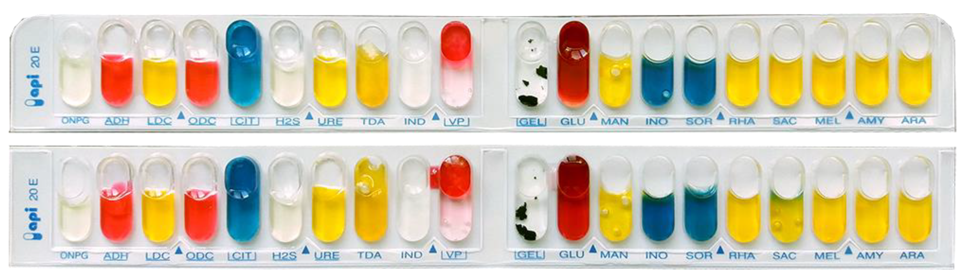 Forests 14 00014 g003