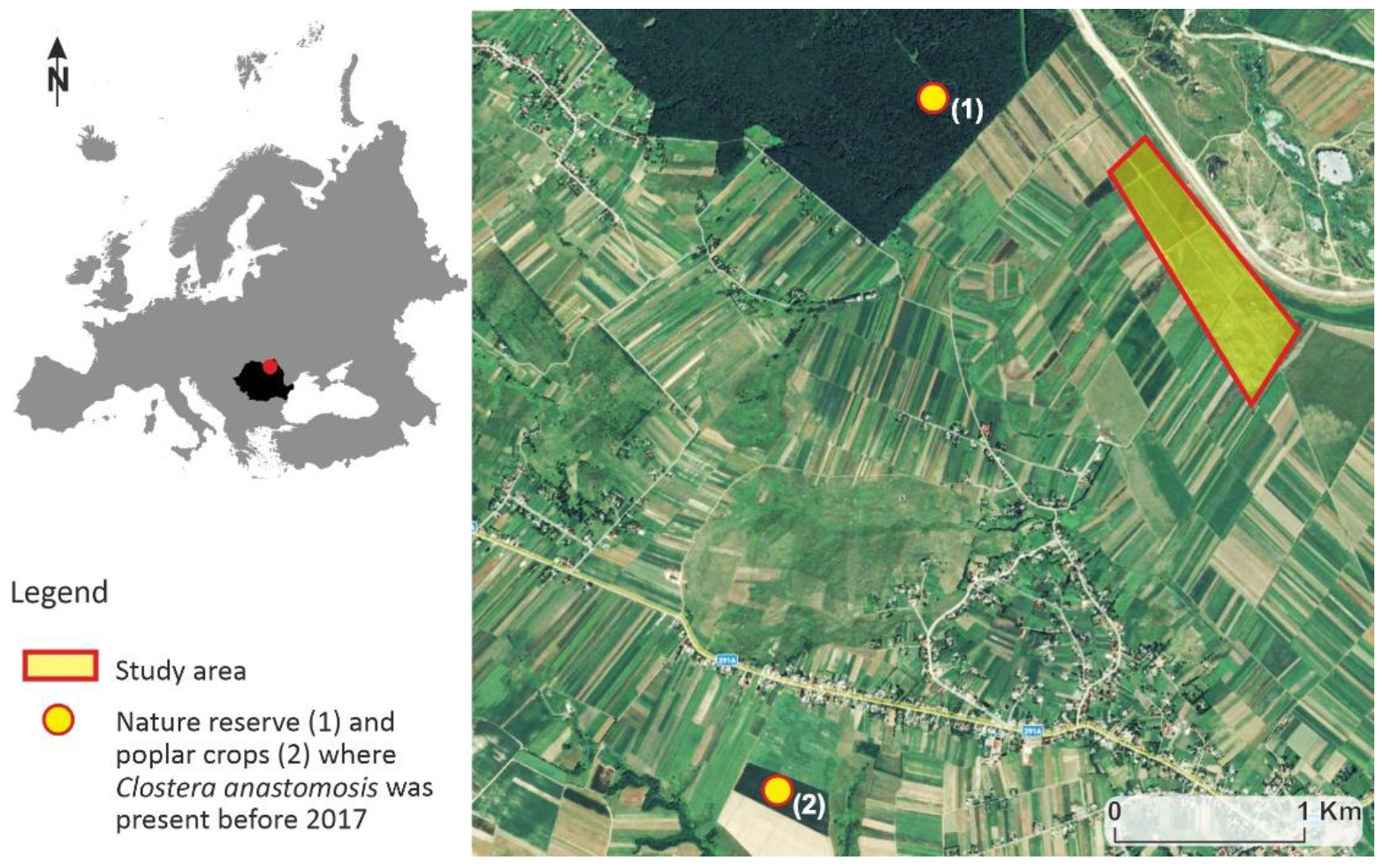 Forests 14 00020 g001 Forests 14 00020 g001