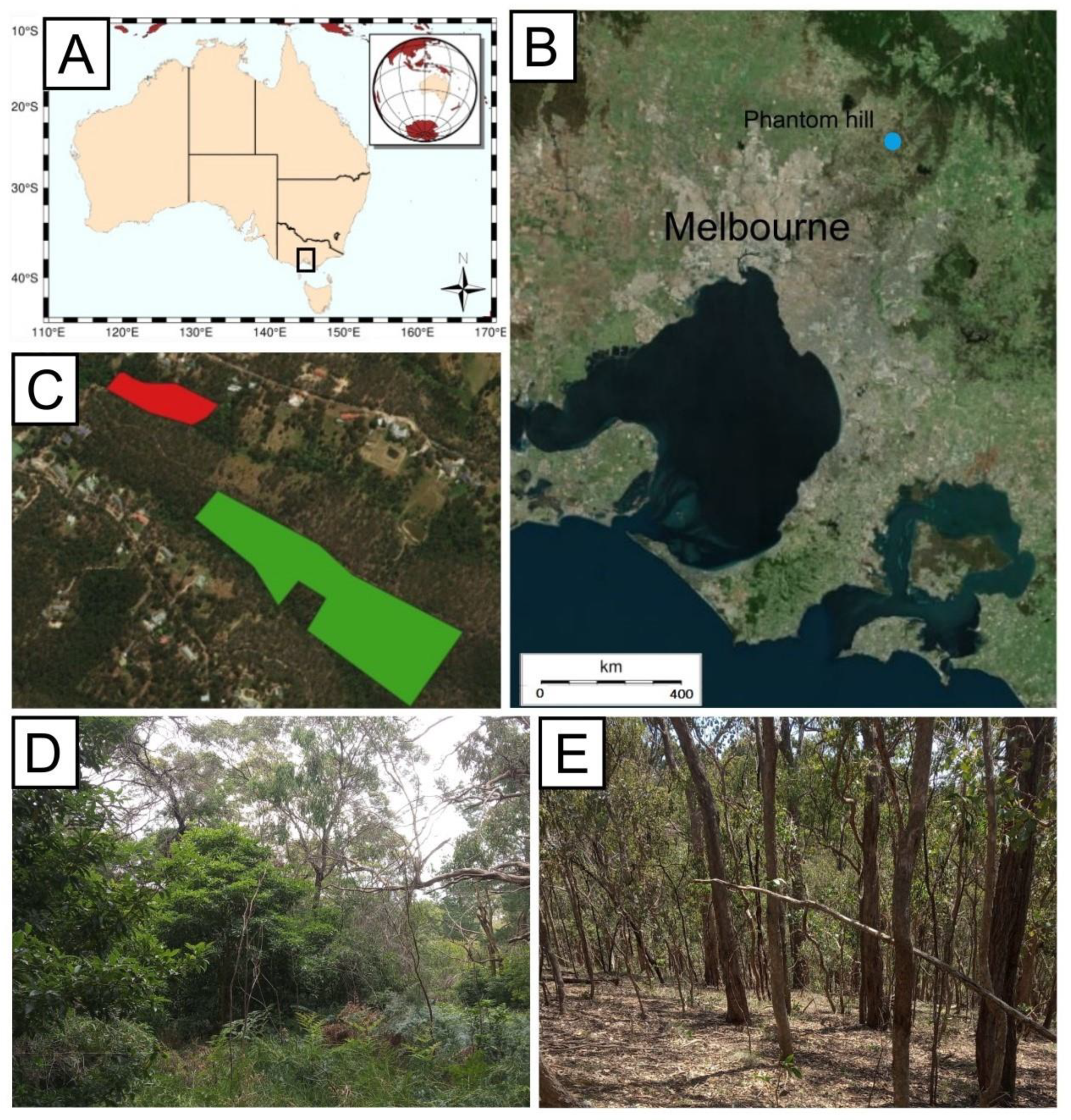 Forests 14 00039 g001