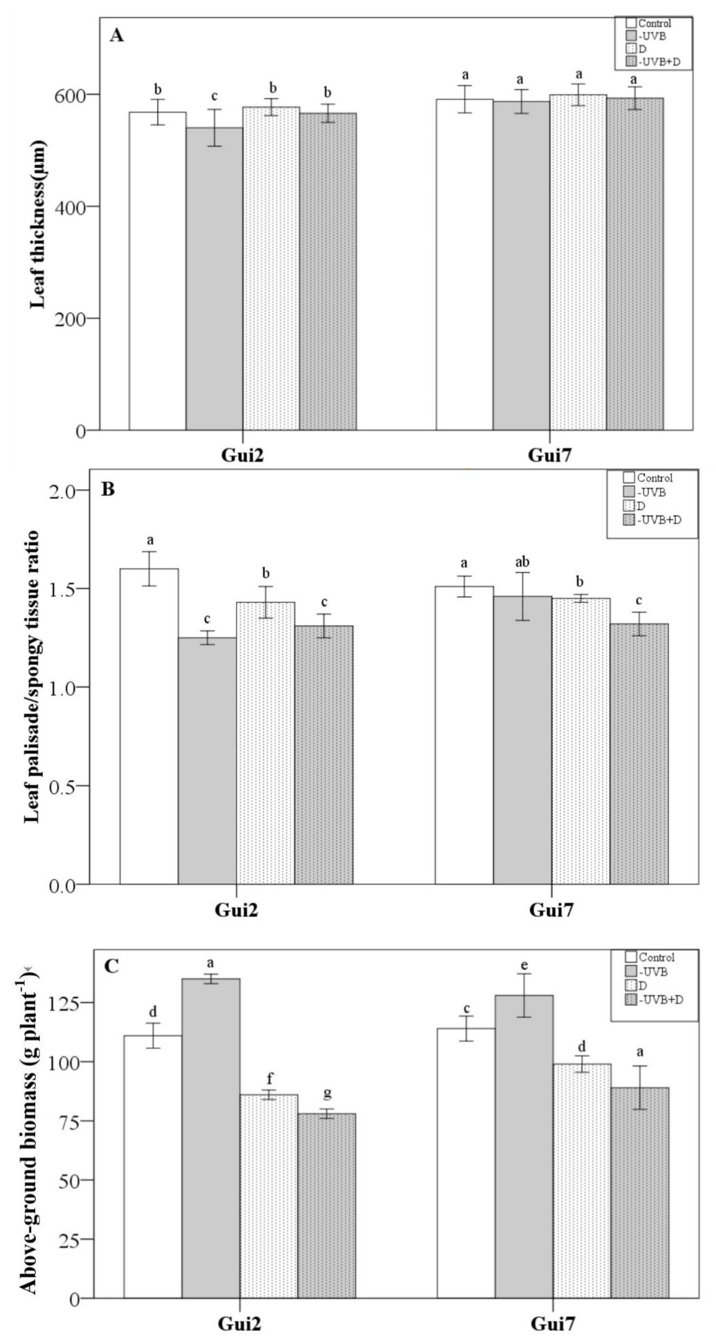 Forests 14 00050 g001