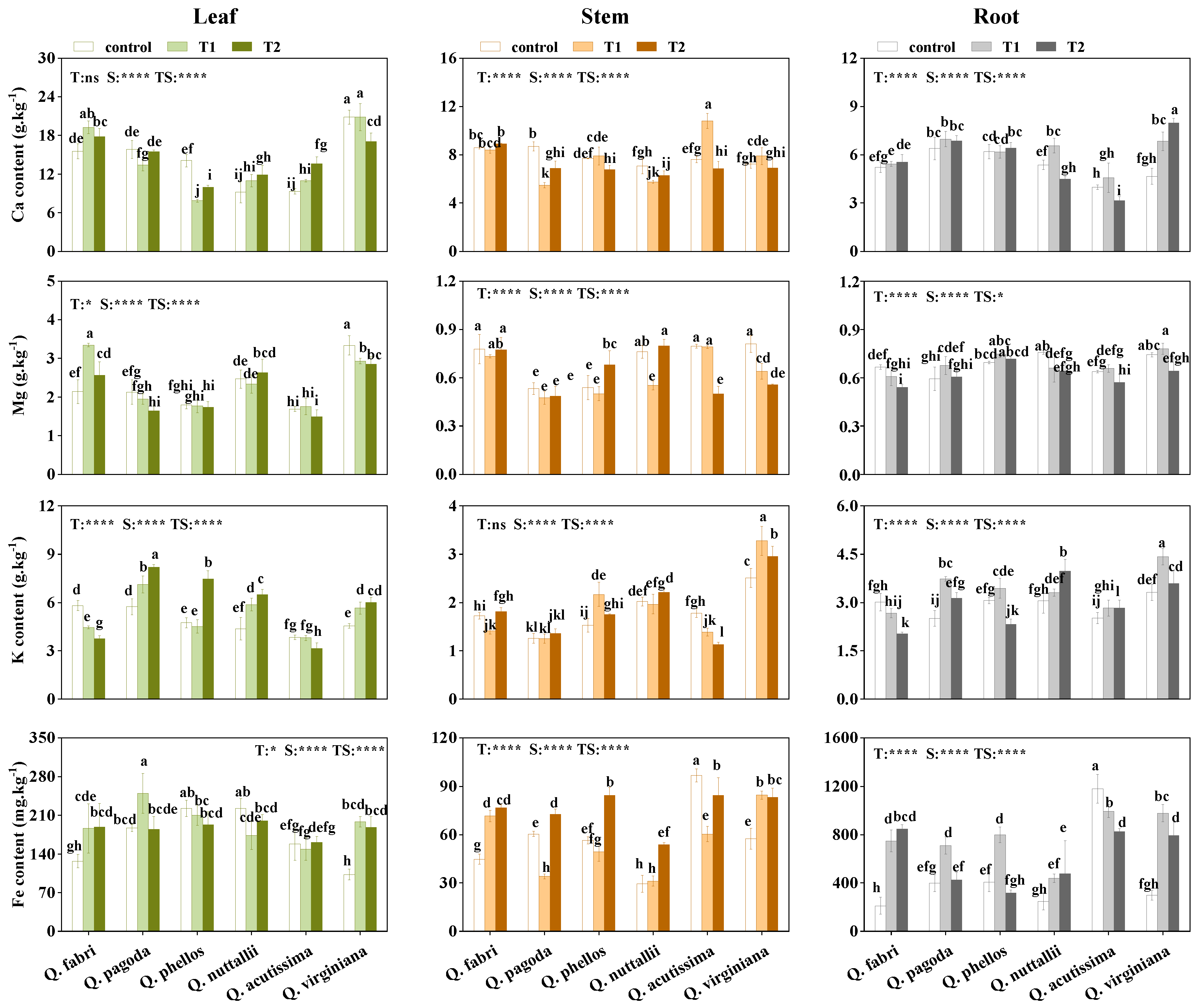 Forests 14 00062 g002