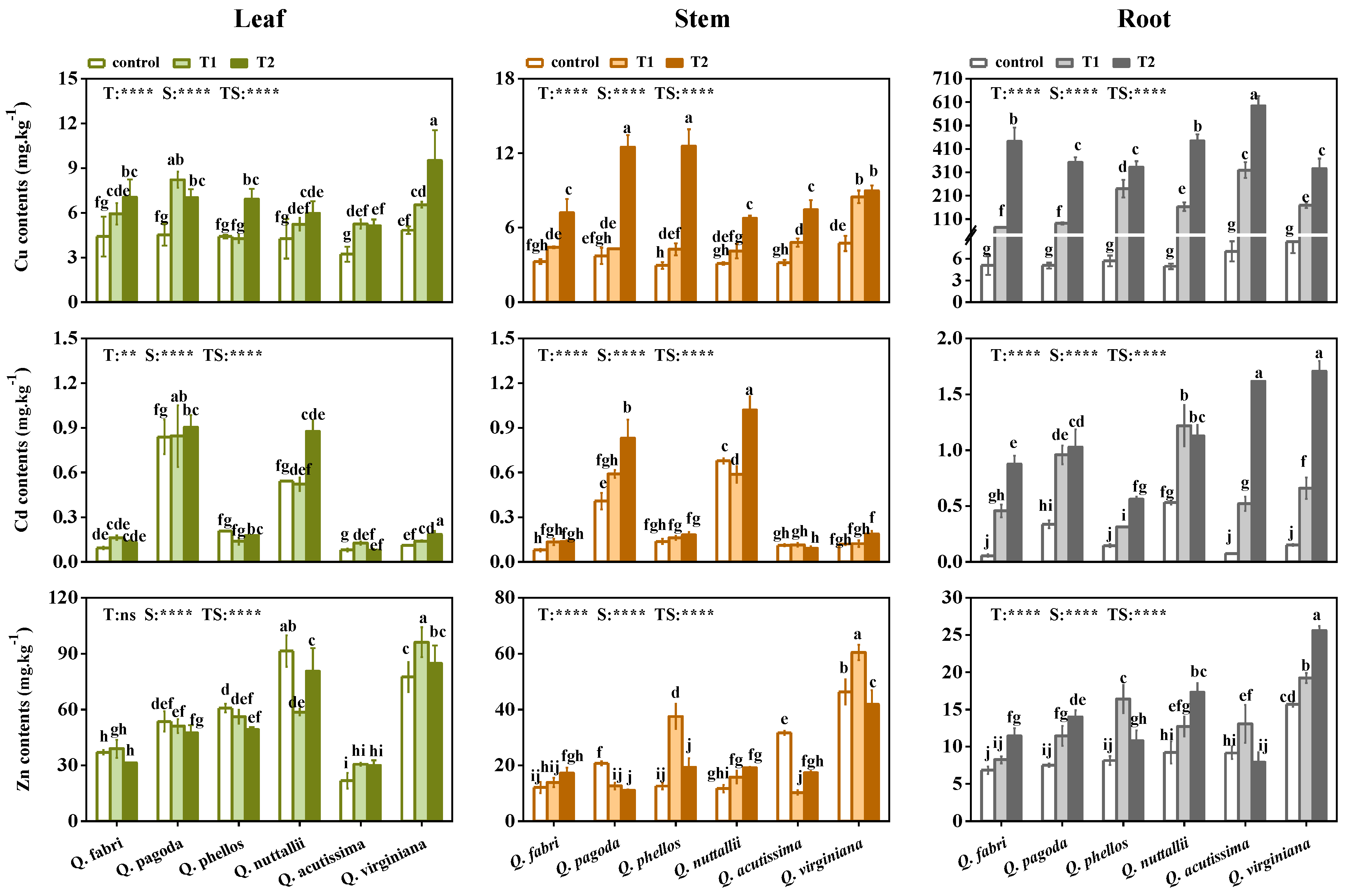 Forests 14 00062 g003