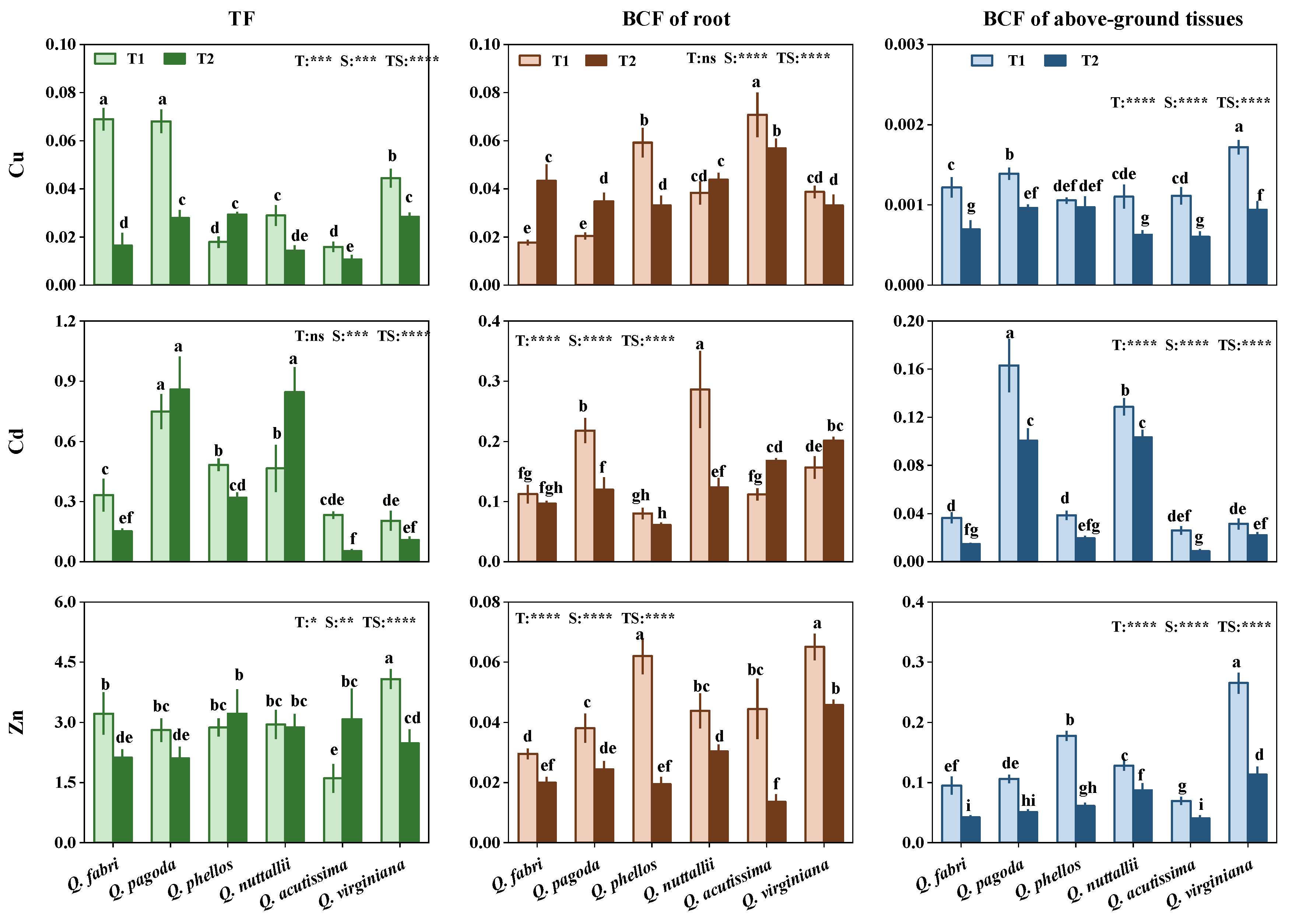 Forests 14 00062 g004