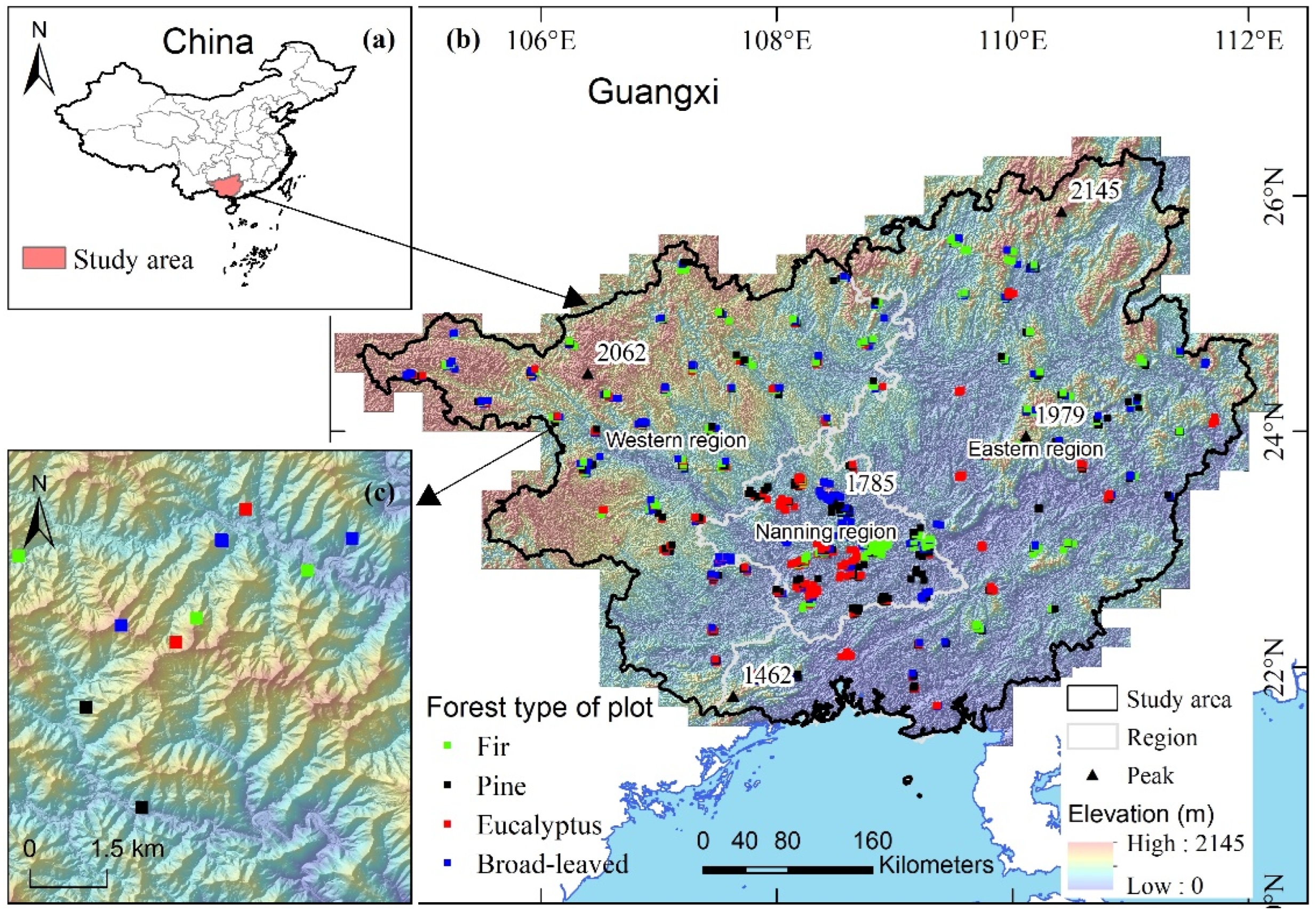 Forests 14 00065 g001 Forests 14 00065 g001
