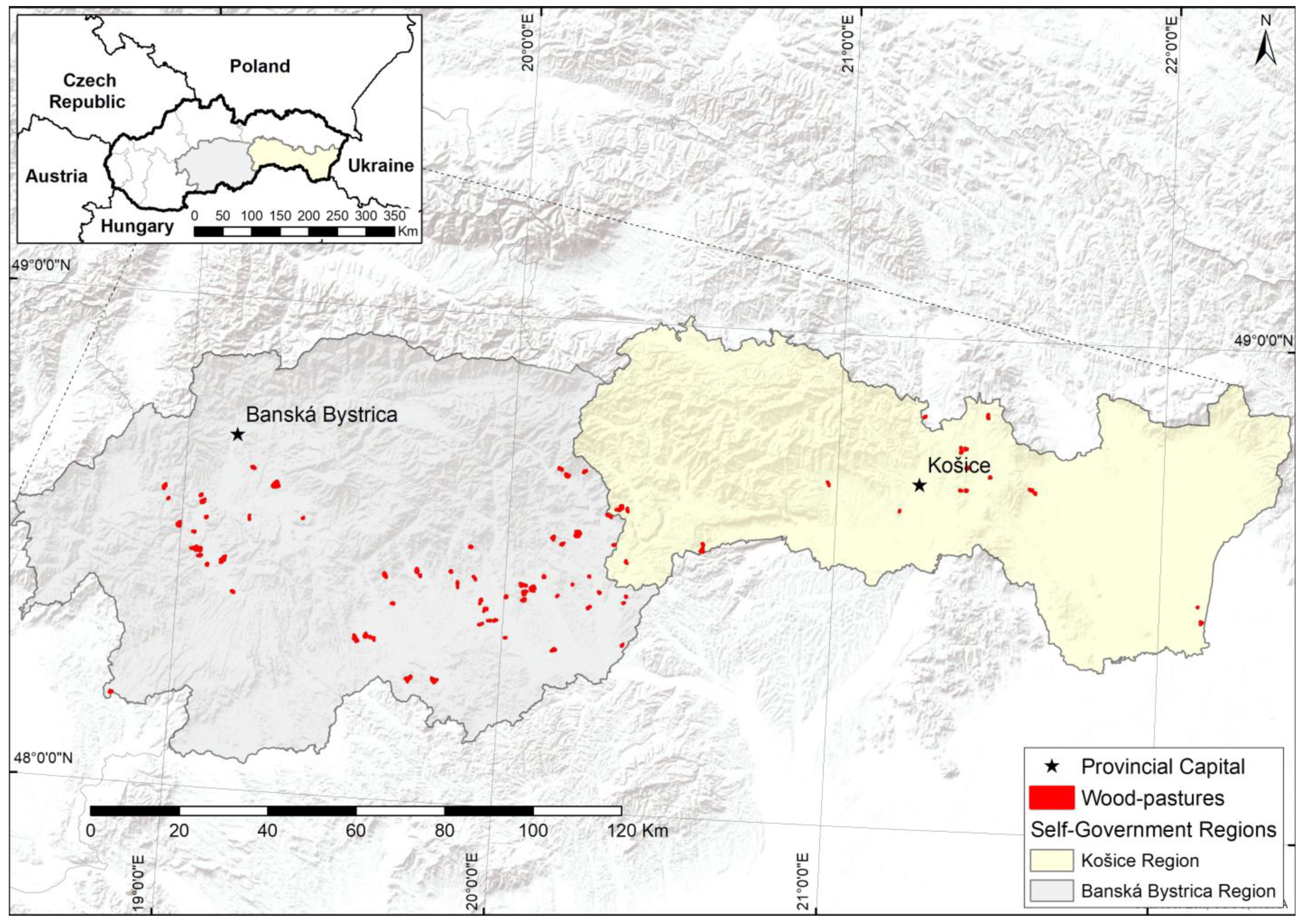 Forests 14 00068 g001