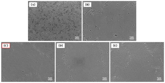 Forests | Free Full-Text | Construction of Rainbow-like Structural ...