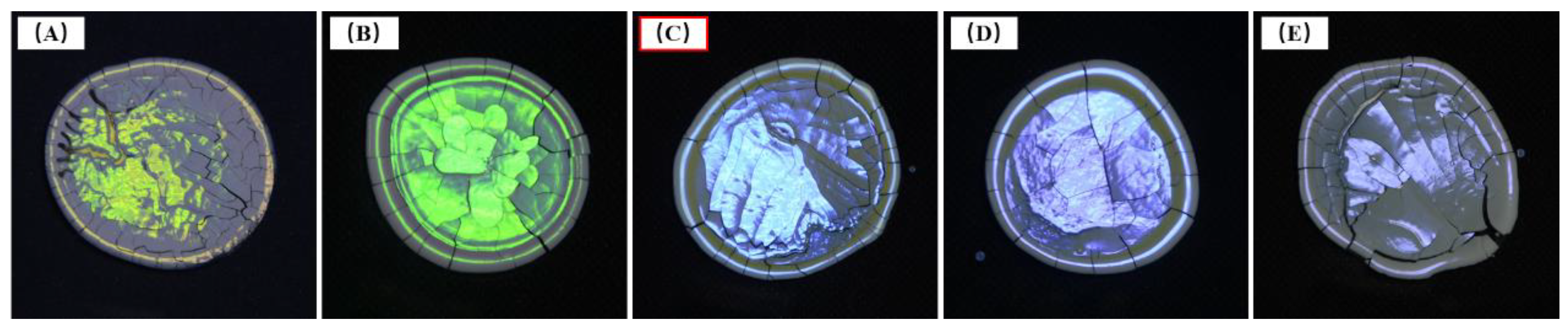 Forests 14 00076 g004