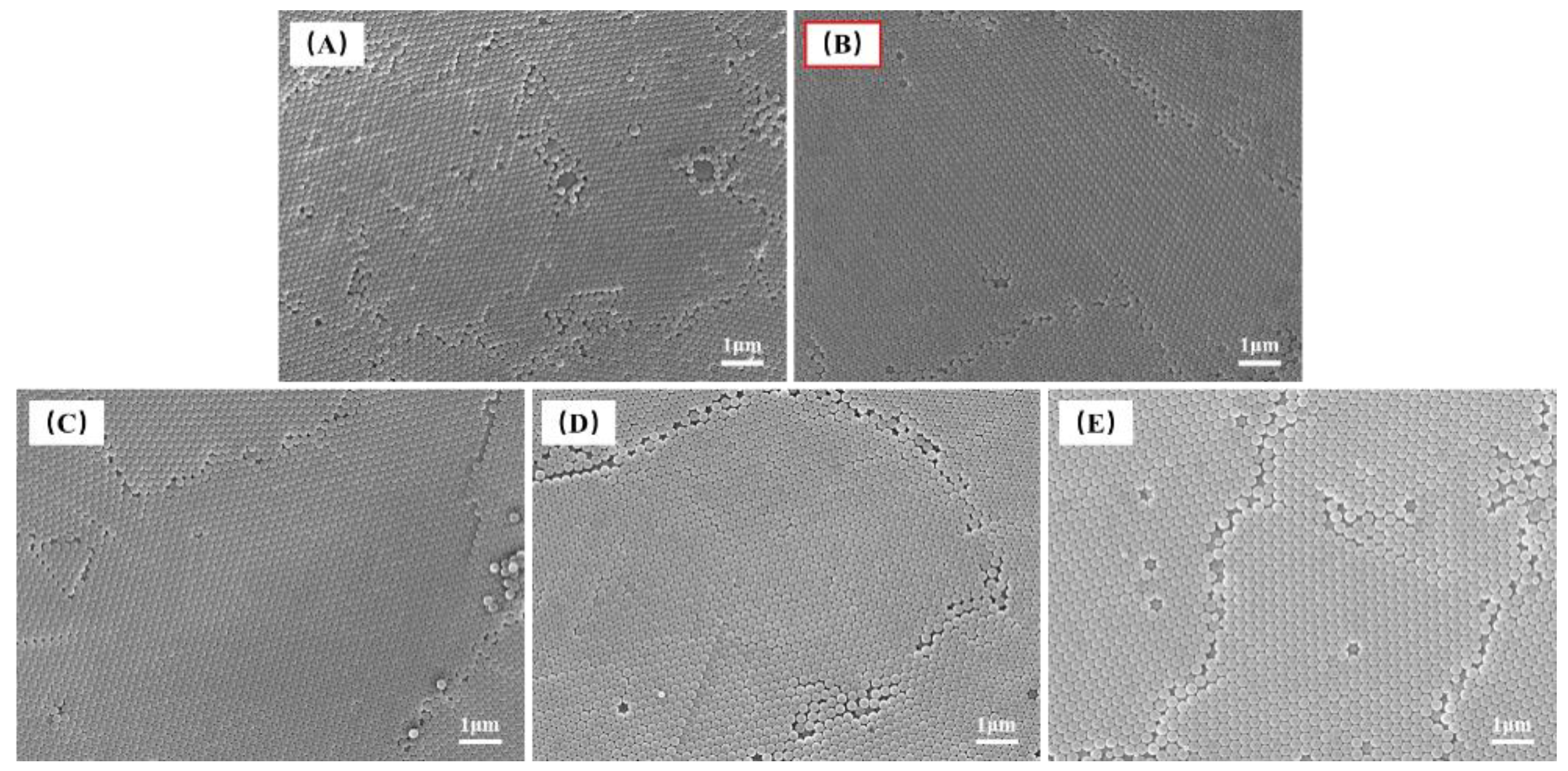 Forests 14 00076 g006