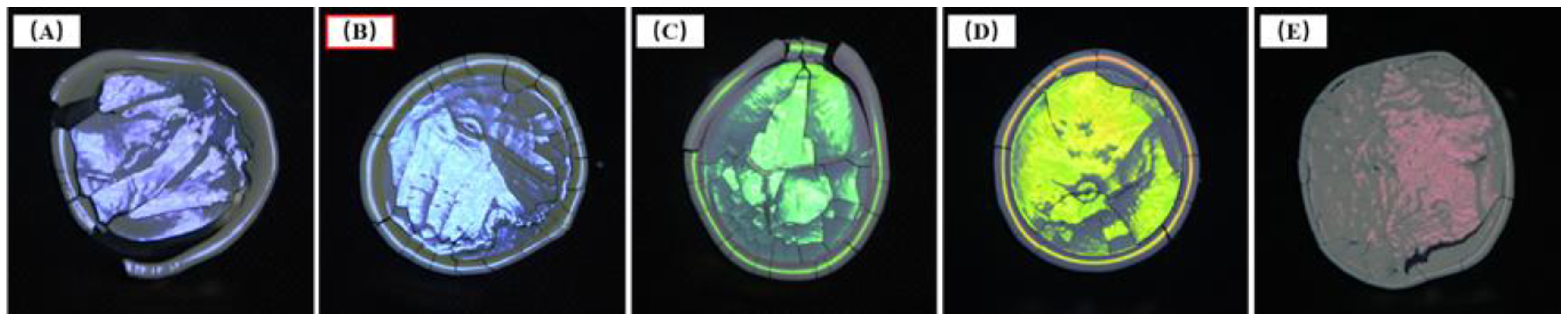 Forests 14 00076 g008