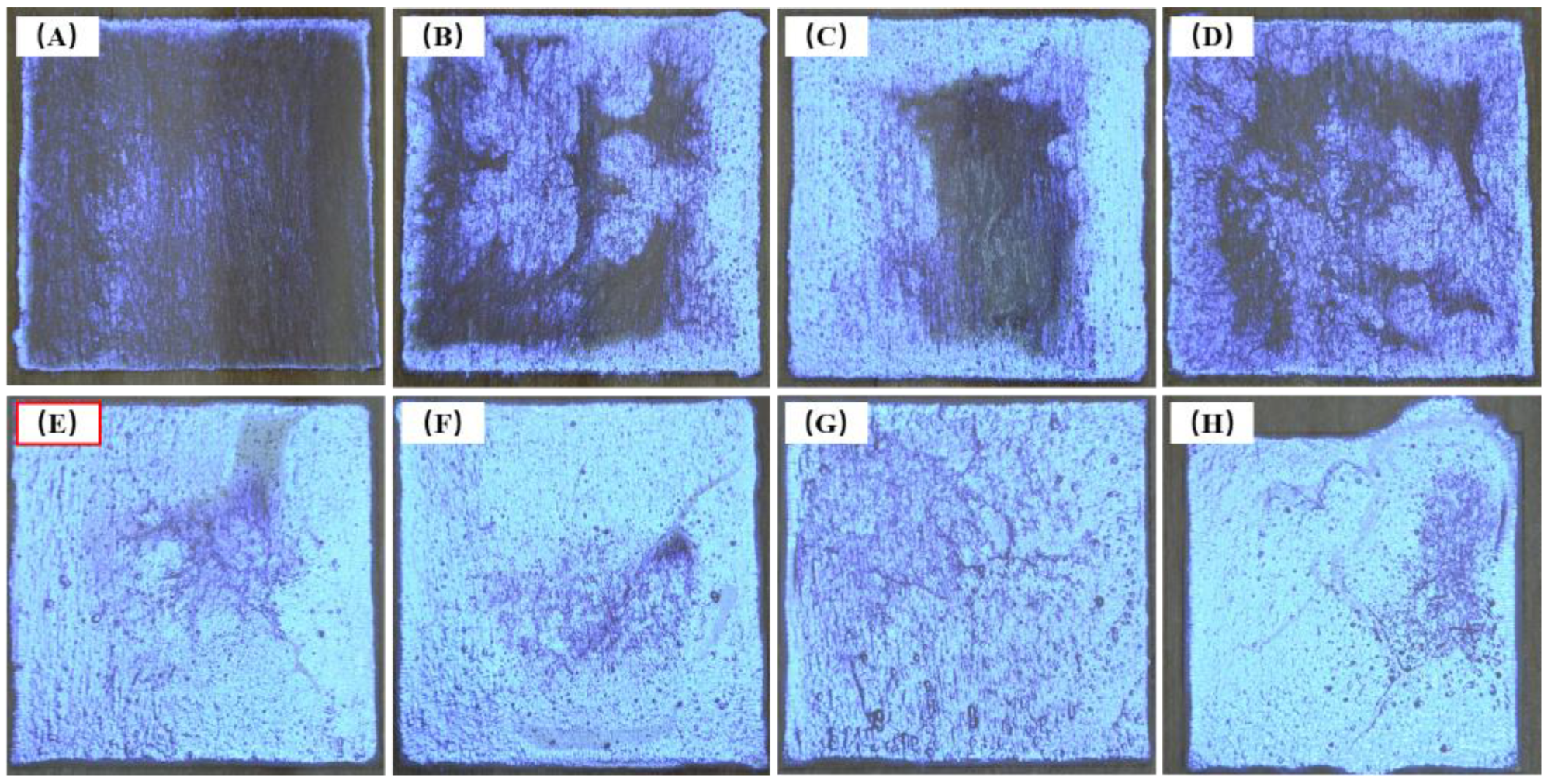 Forests 14 00076 g009