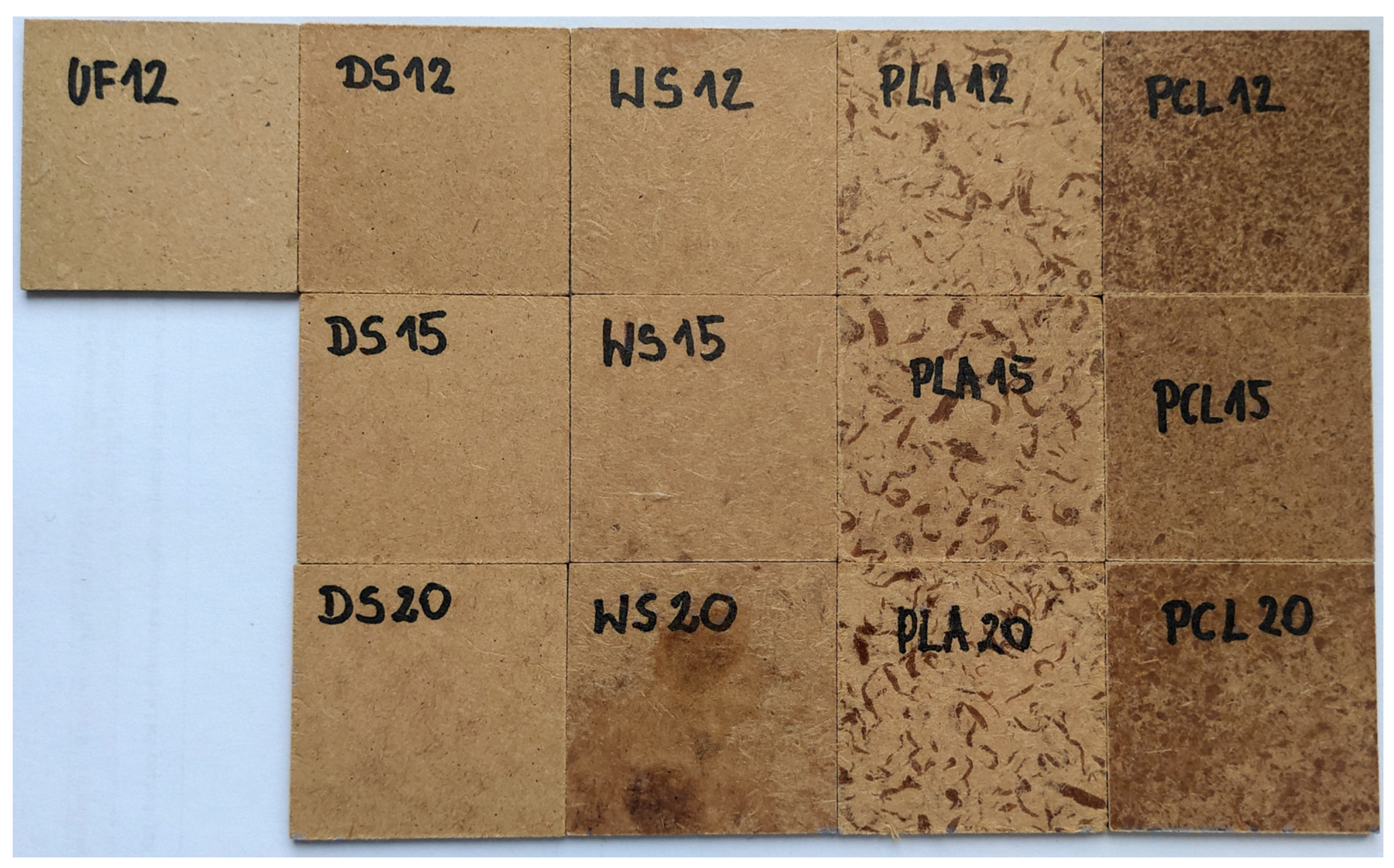 Forests 14 00084 g002 Forests 14 00084 g002