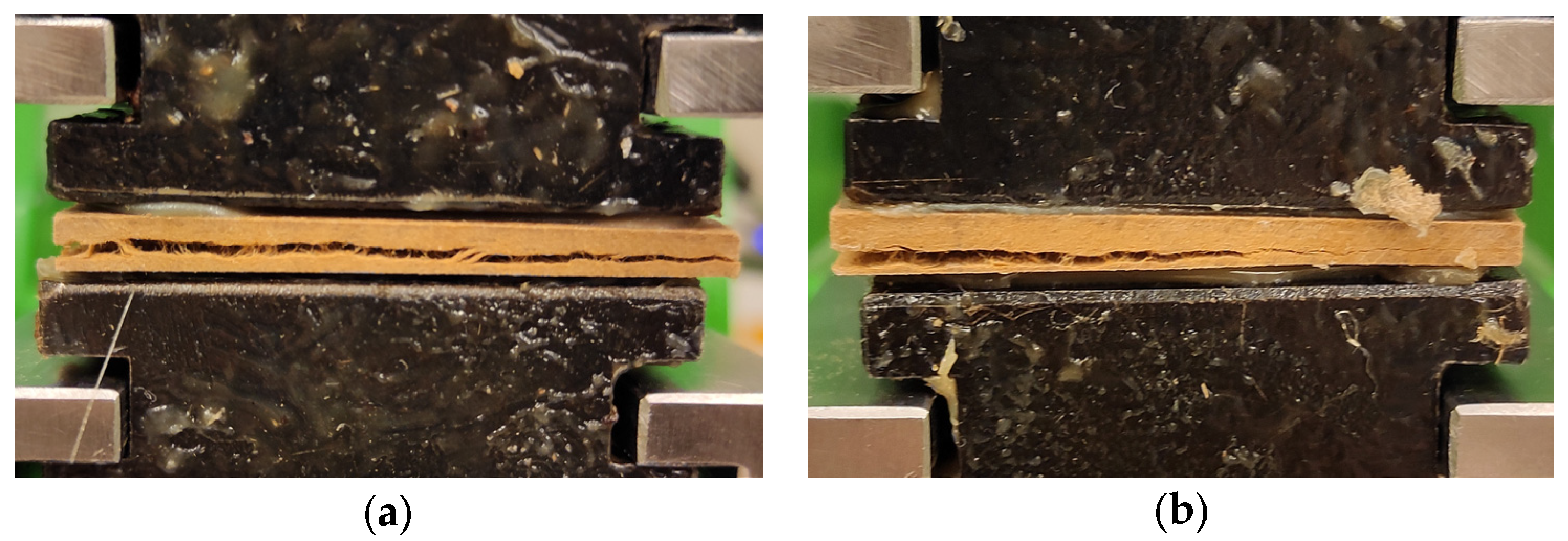 Forests 14 00084 g005 Forests 14 00084 g005