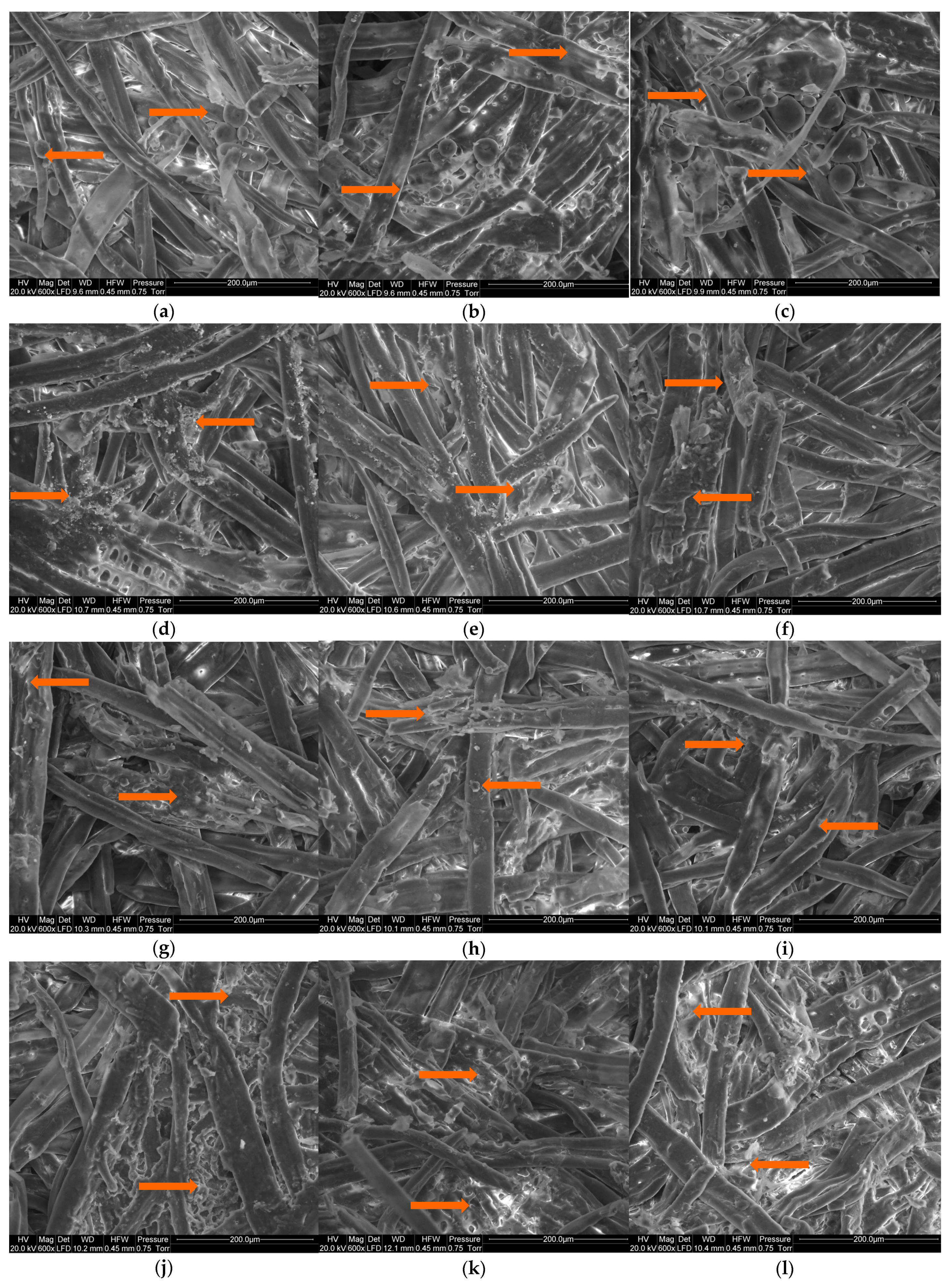 Forests 14 00084 g006a Forests 14 00084 g006a