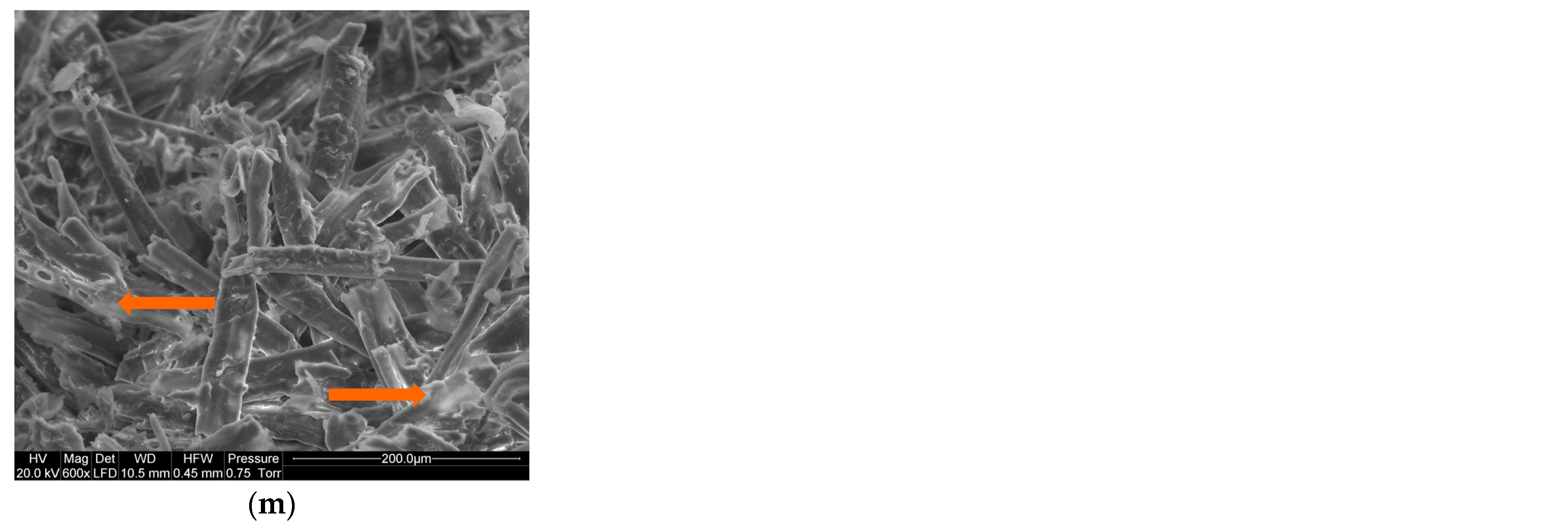 Forests 14 00084 g006b Forests 14 00084 g006b