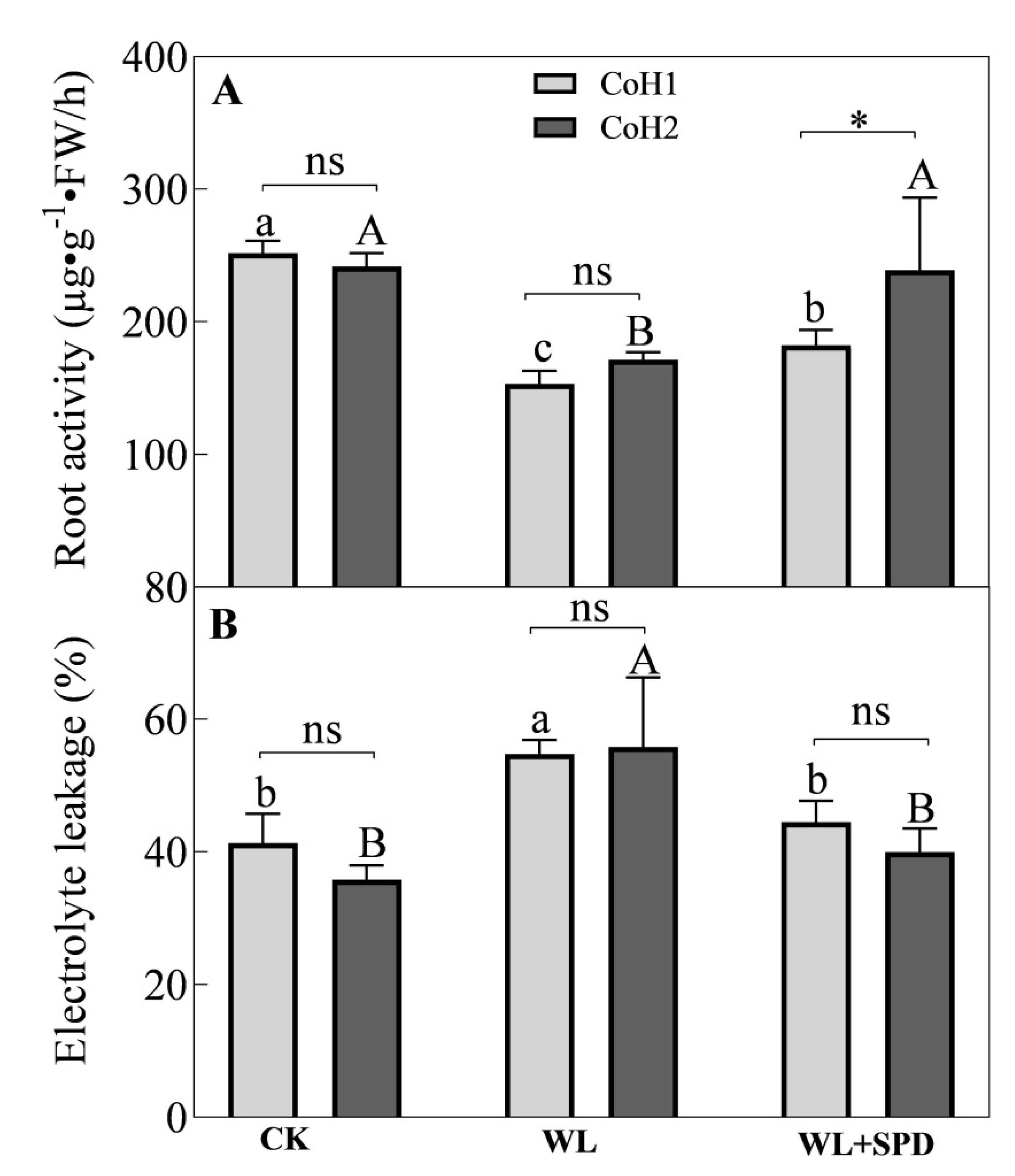 Forests 14 00091 g001 Forests 14 00091 g001