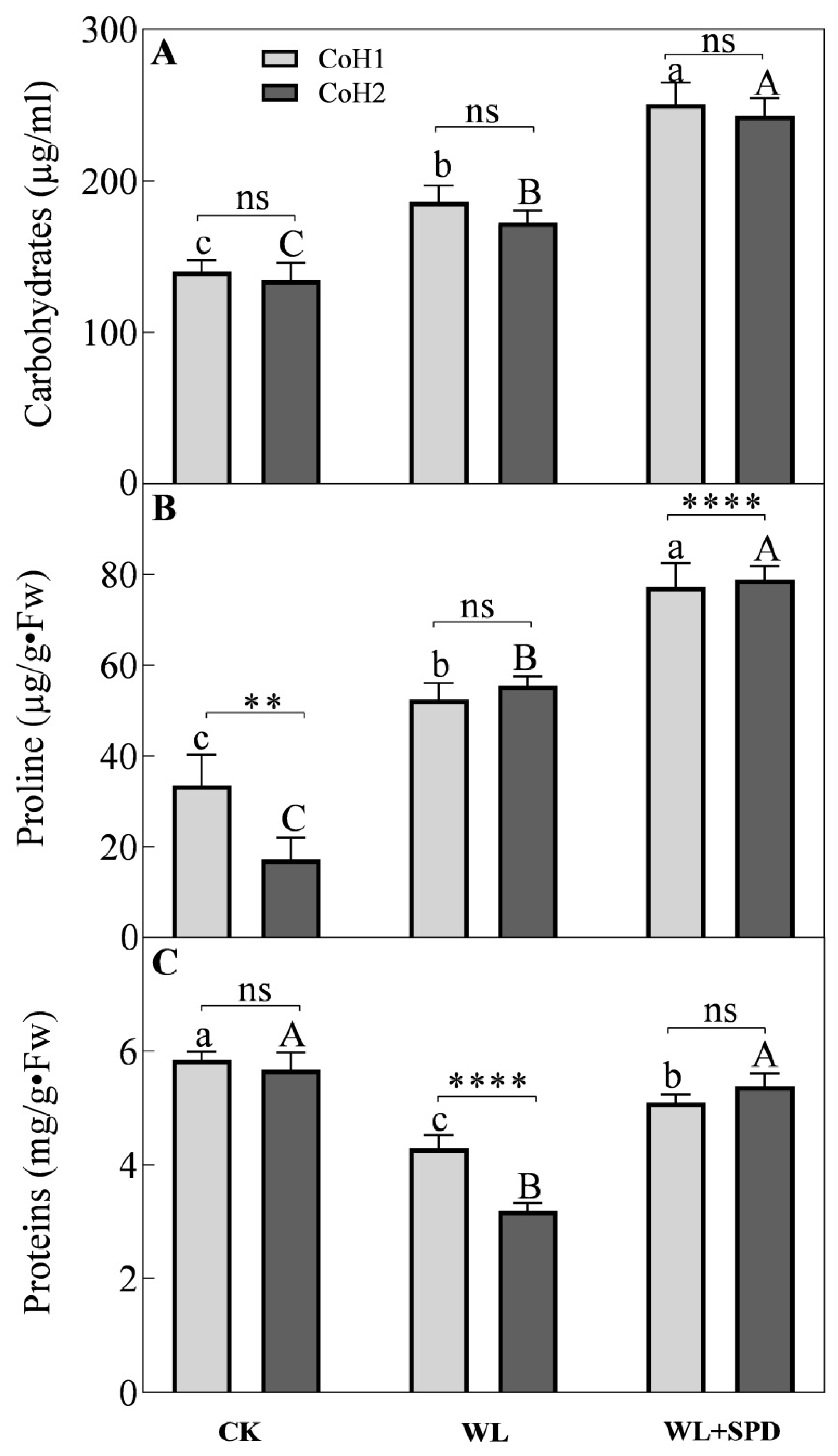 Forests 14 00091 g004 Forests 14 00091 g004