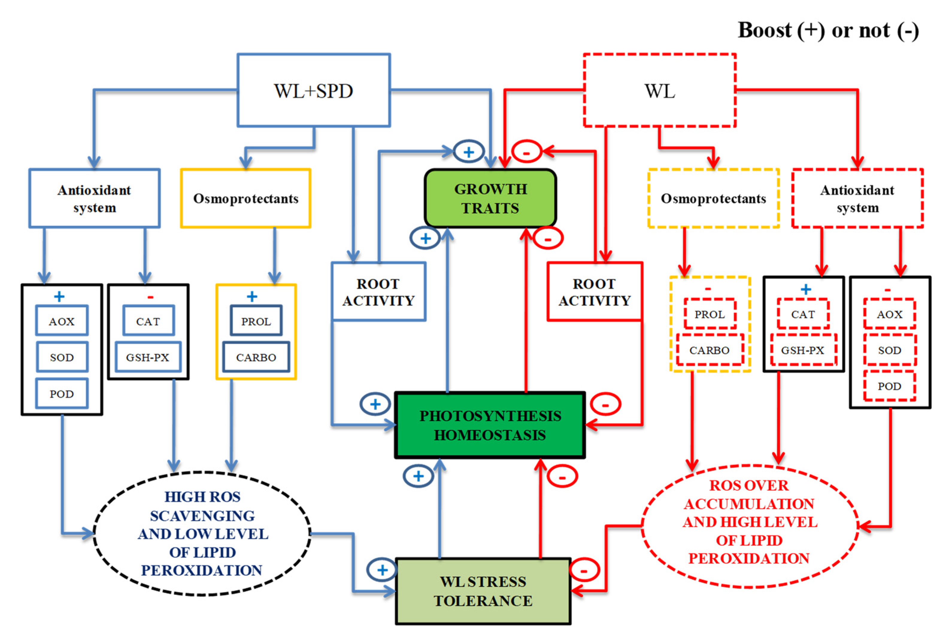 Forests 14 00091 g009 Forests 14 00091 g009