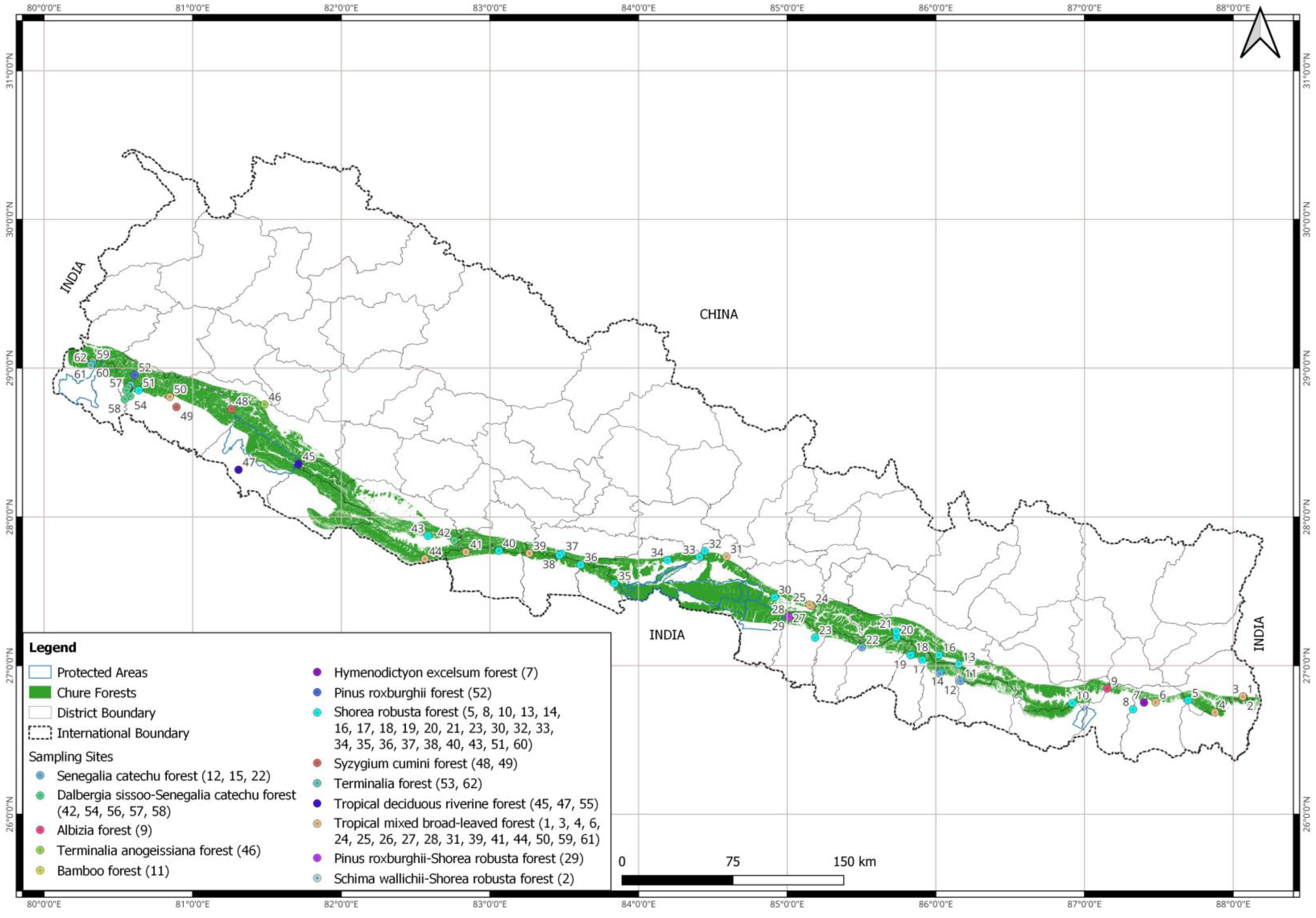 Forests 14 00100 g002
