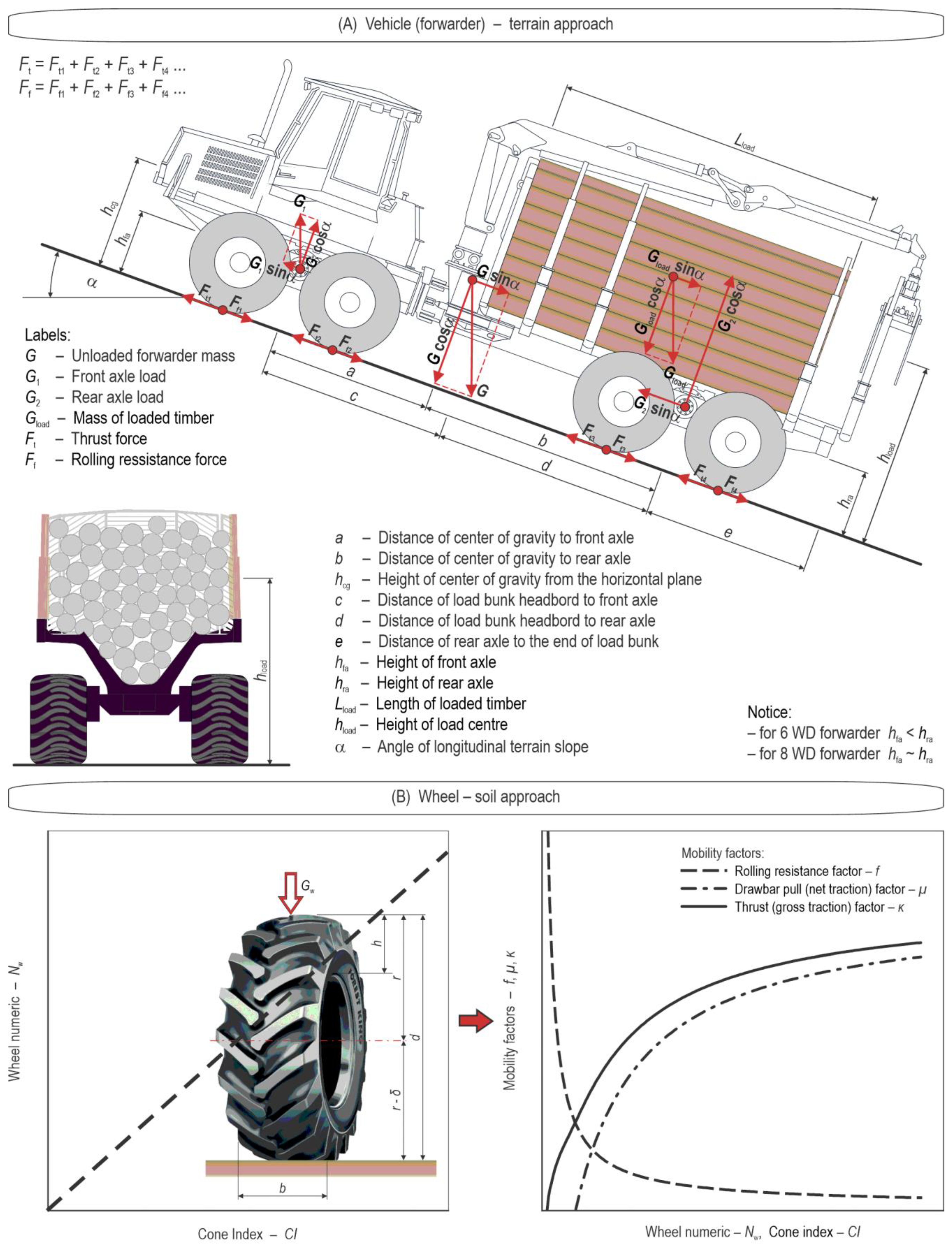 Forests 14 00103 g001