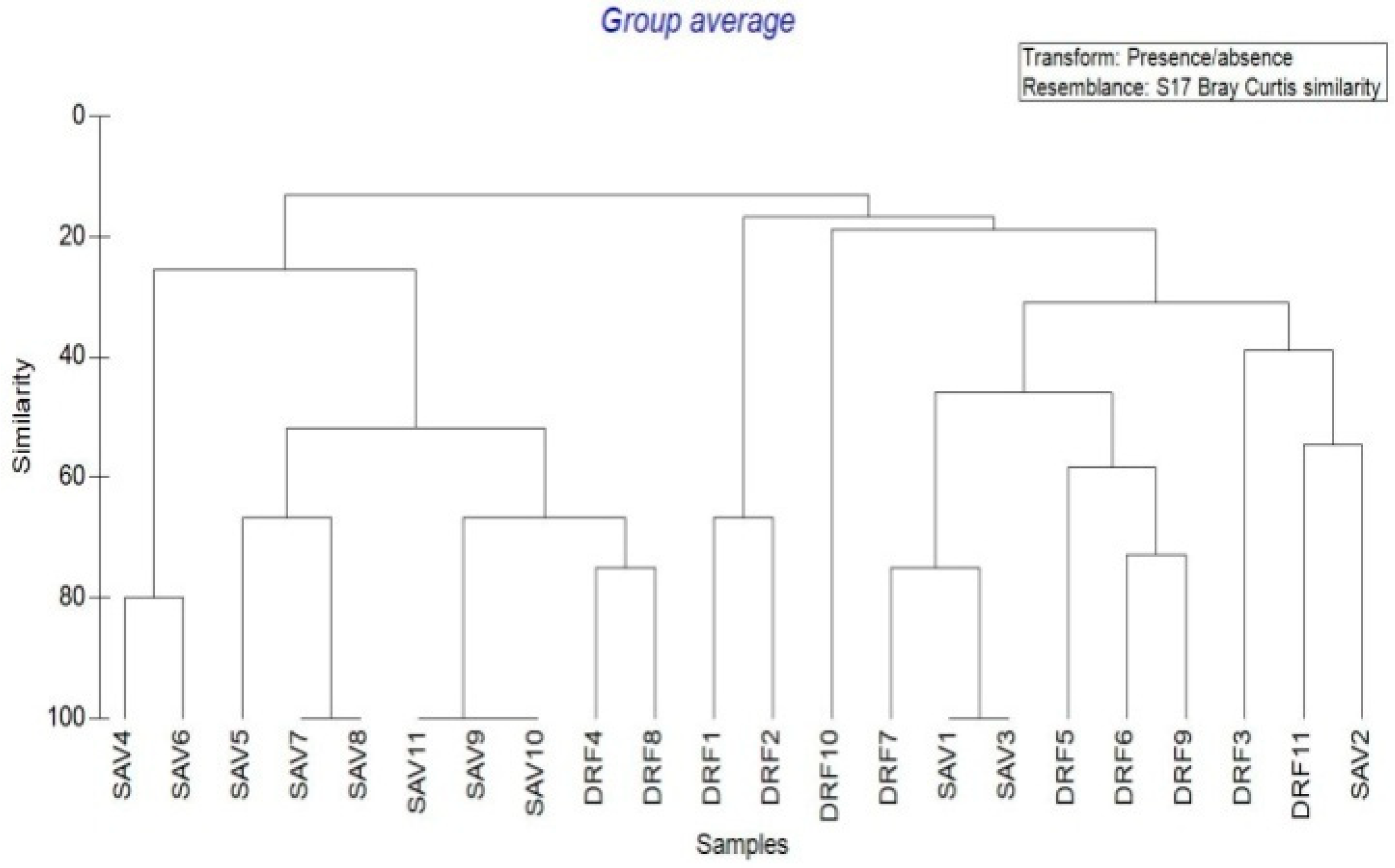 Forests 14 00106 g009 Forests 14 00106 g009
