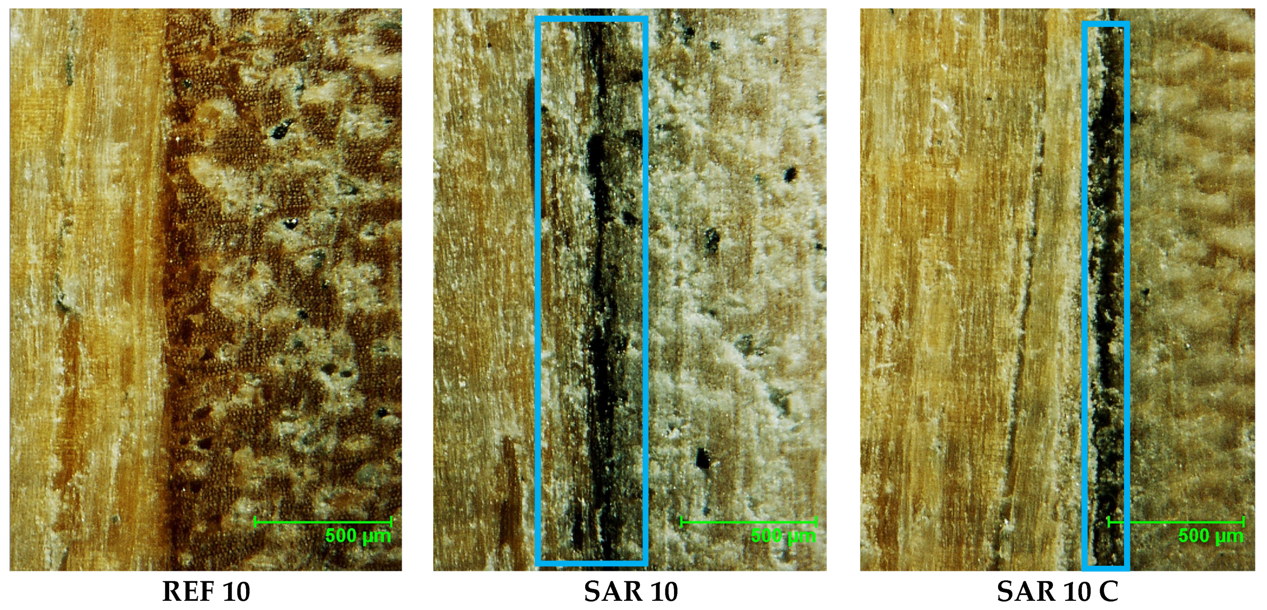 Forests 14 00110 g011 Forests 14 00110 g011