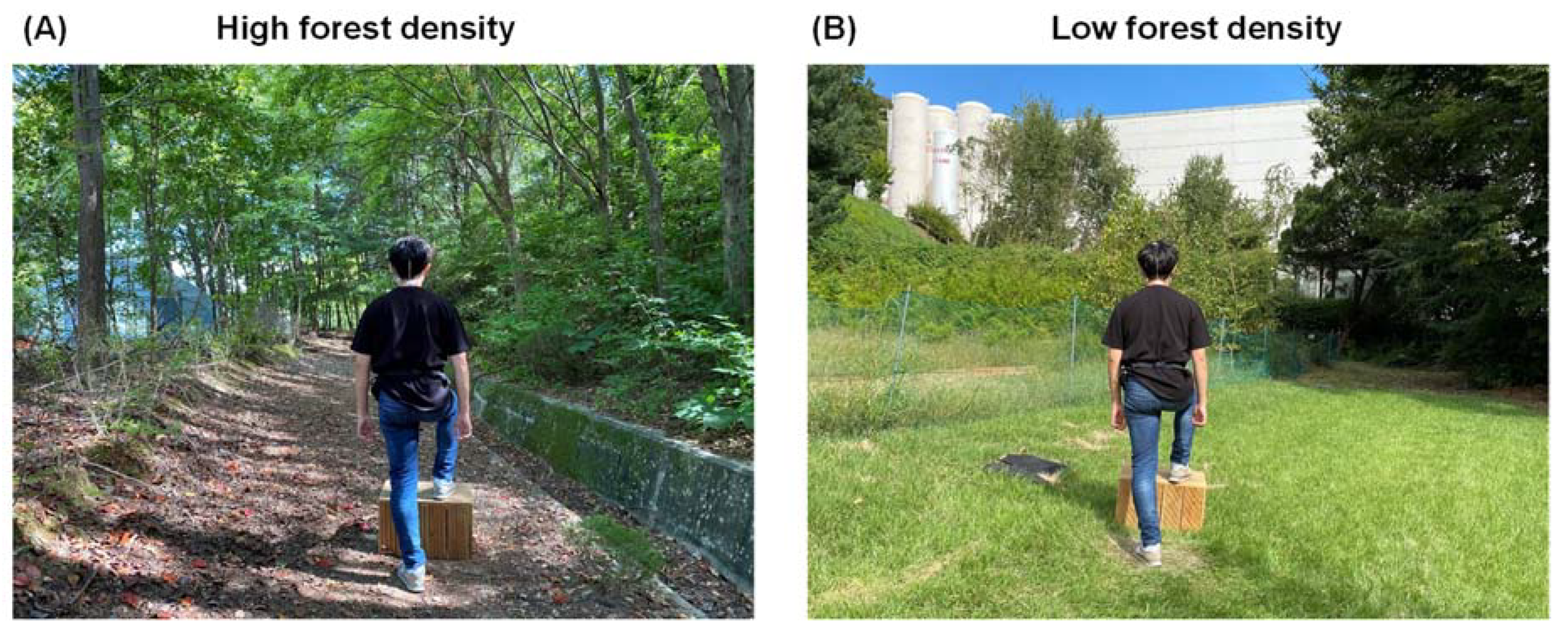 Forests 14 00120 g003 Forests 14 00120 g003