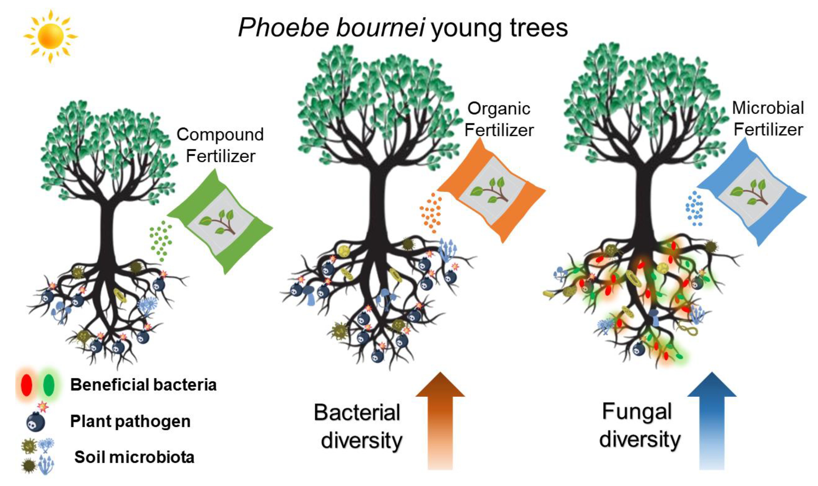 Forests 14 00126 g006